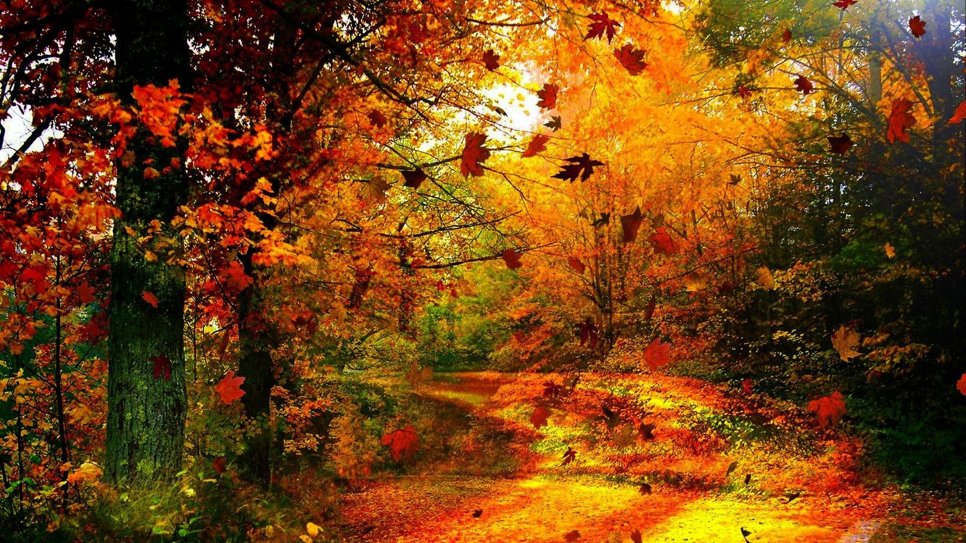 Autumn HD Wallpapers 1080p (76+ images)