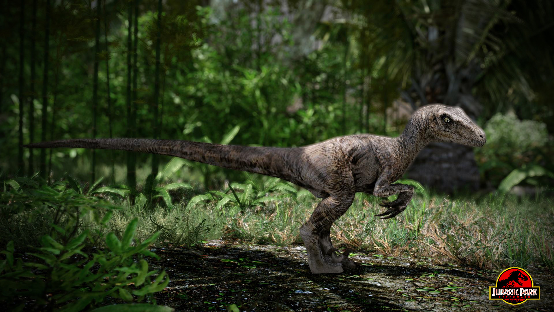 Jurassic World Velociraptor Wallpaper 82 Images 