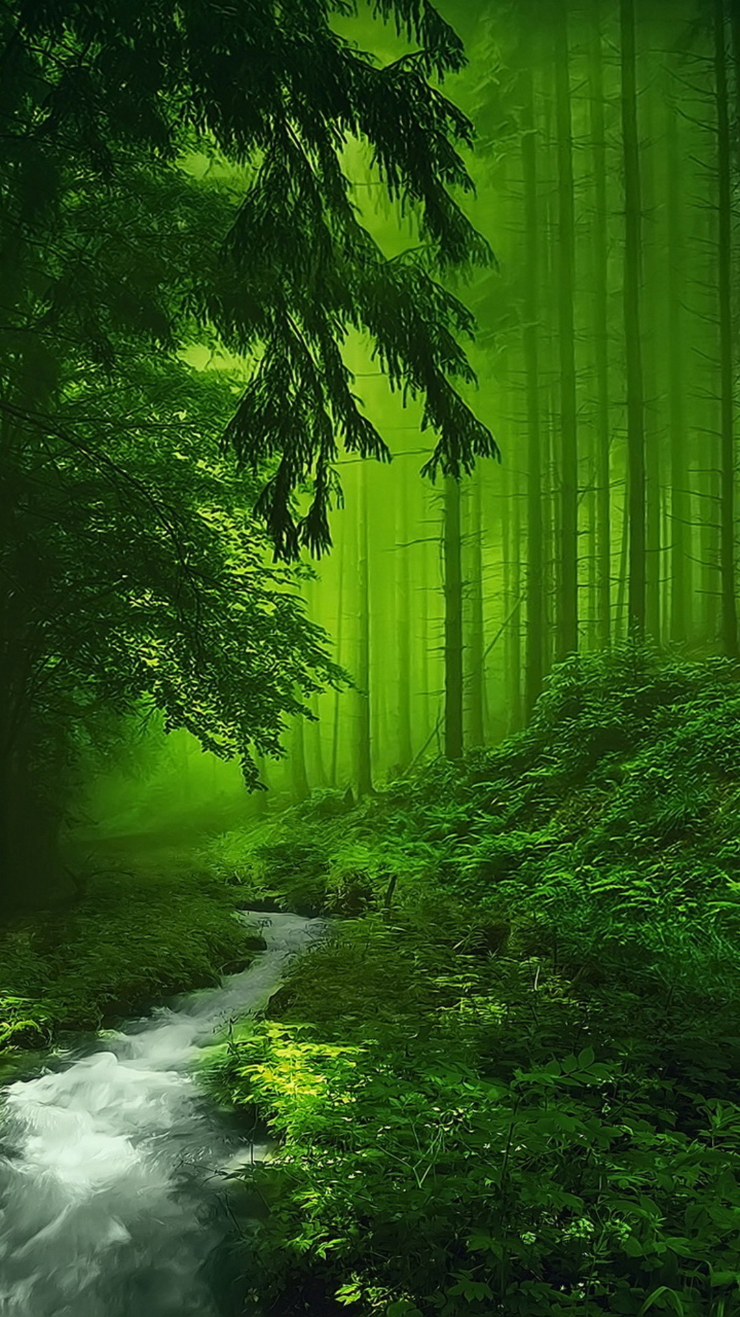 Wallpaper 1080p Forest (76+ images)