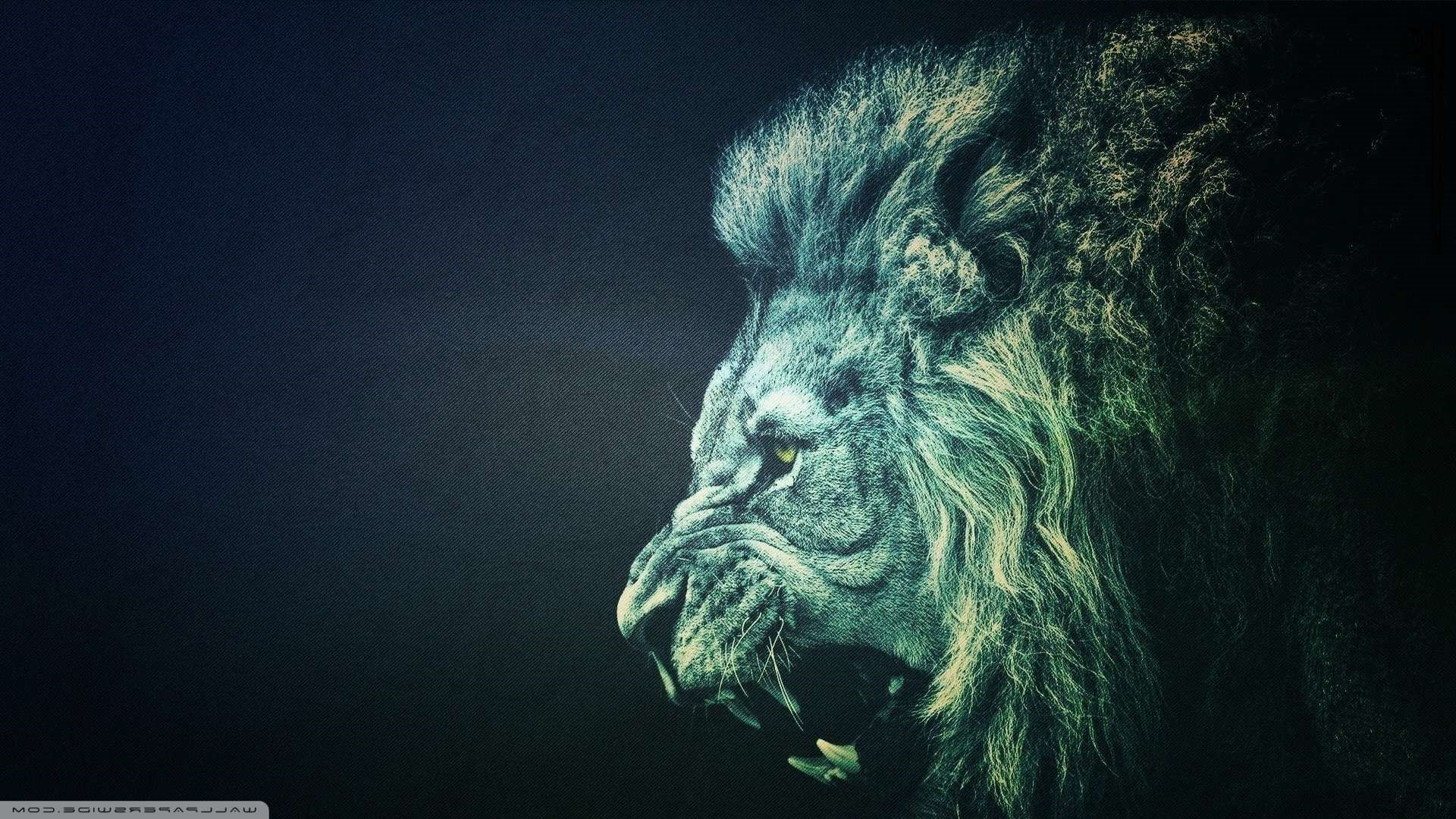 Roaring Lion Wallpaper (67+ images)