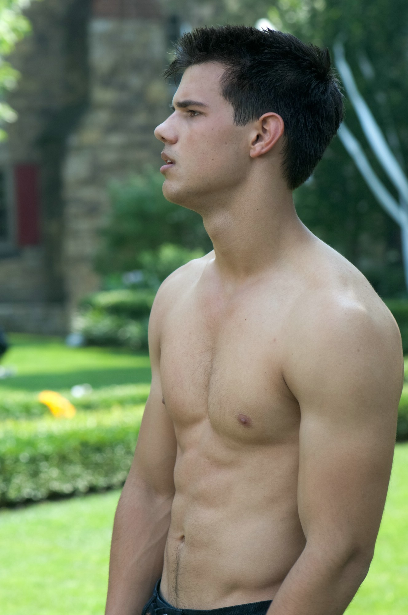 Taylor Lautner Shirtless Wallpaper Images