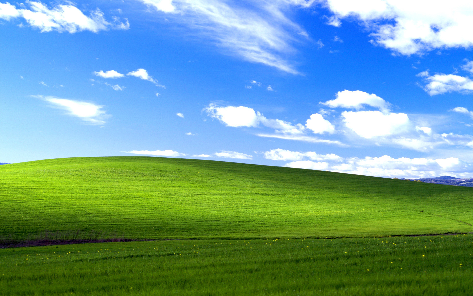 Windows 98 Green Wallpaper