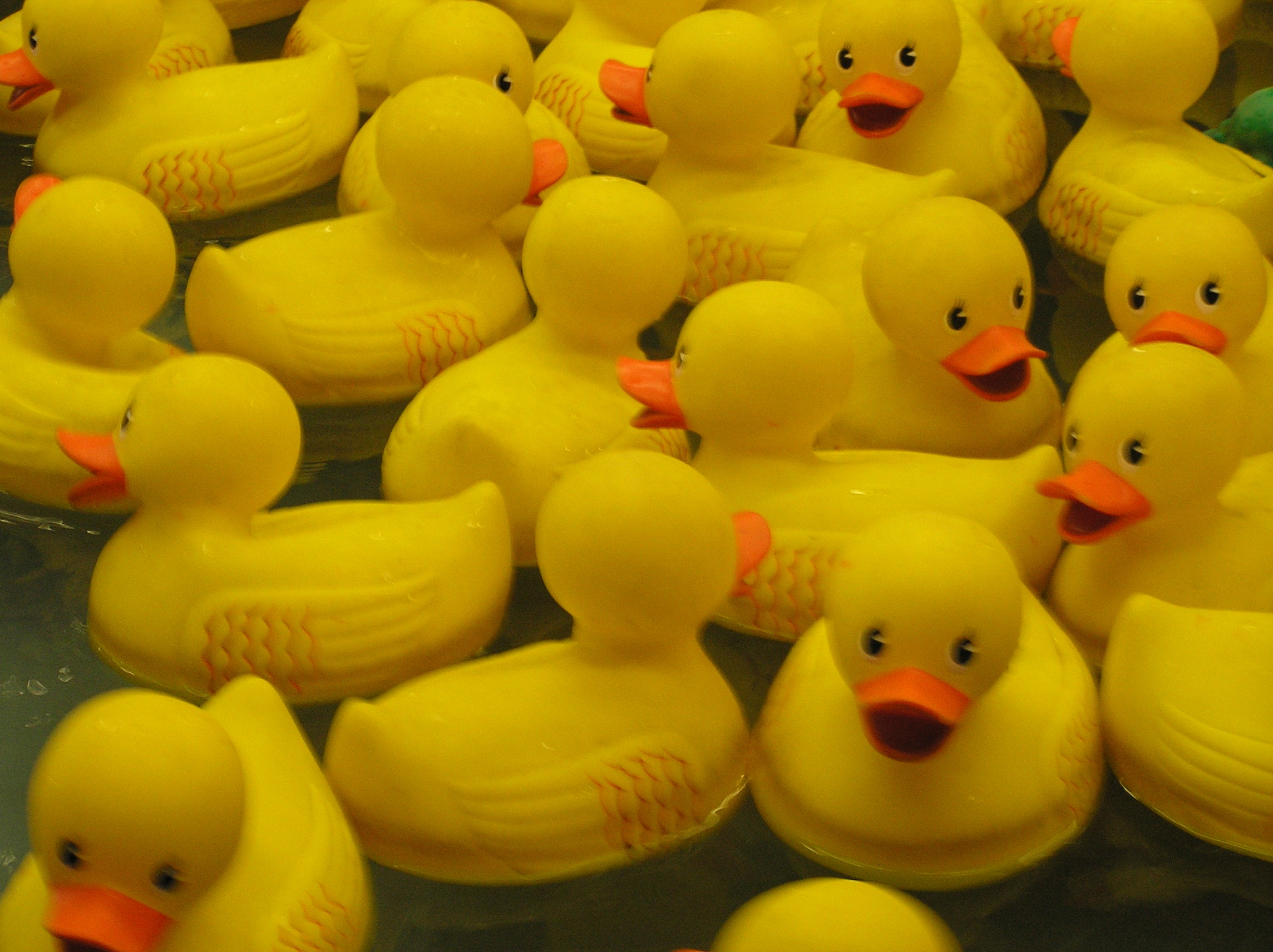 Rubber Ducky Definition