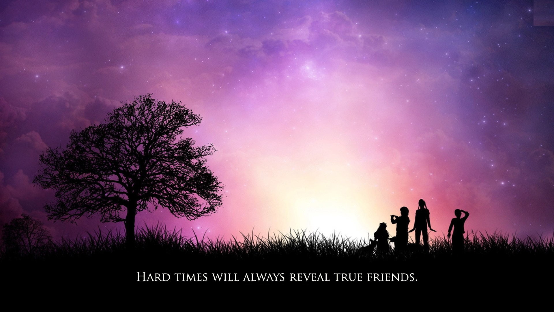 Best Friend Wallpapers (71+ Images)