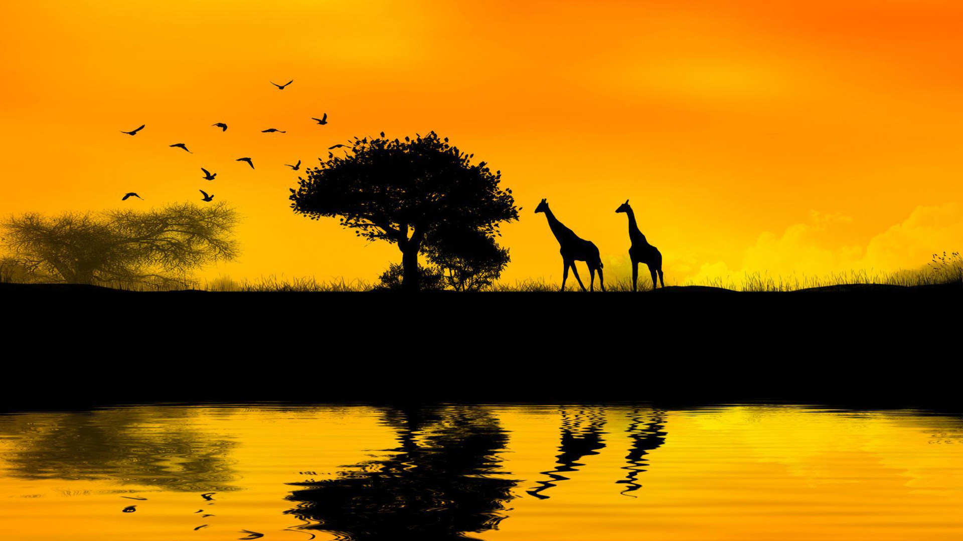 African Wallpaper (62+ images)