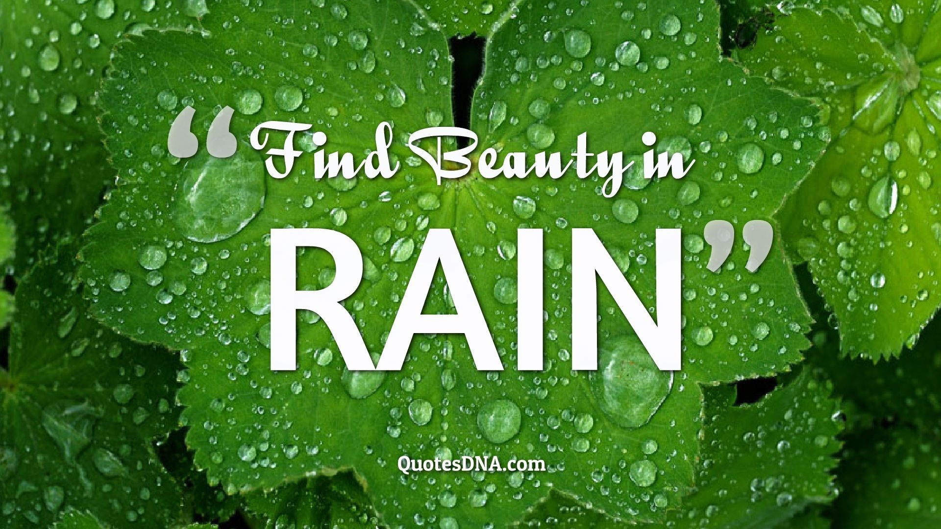 Beautiful Rain Wallpaper With Quotes - 123greety.com