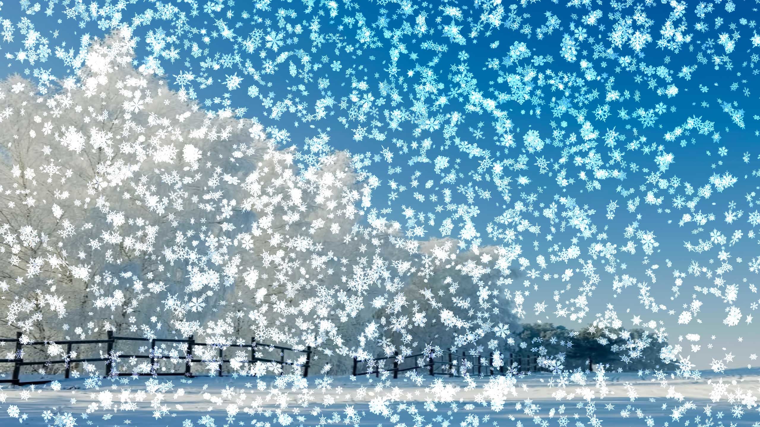 Animated Snow Falling Wallpaper (60+ images)