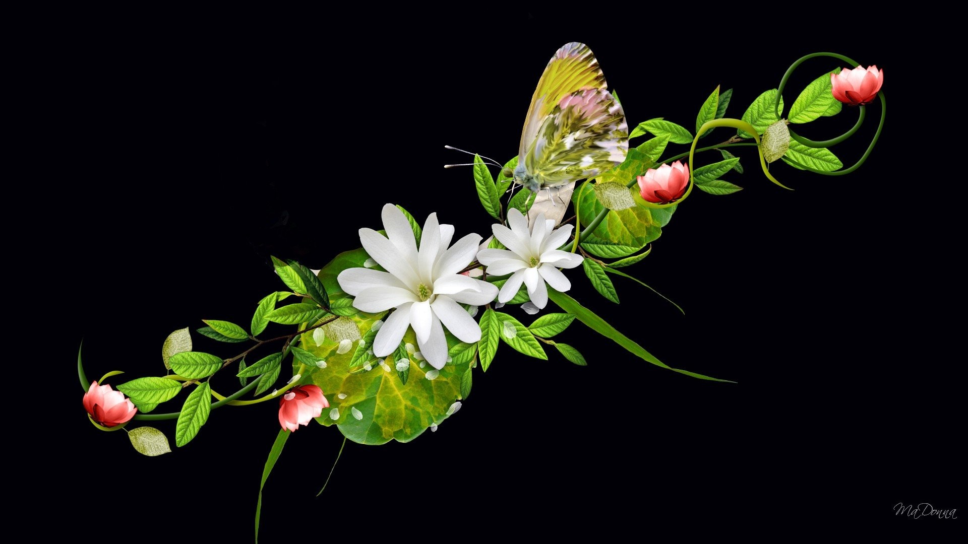 Beautiful Butterflies and Flowers Wallpapers (56+ images)