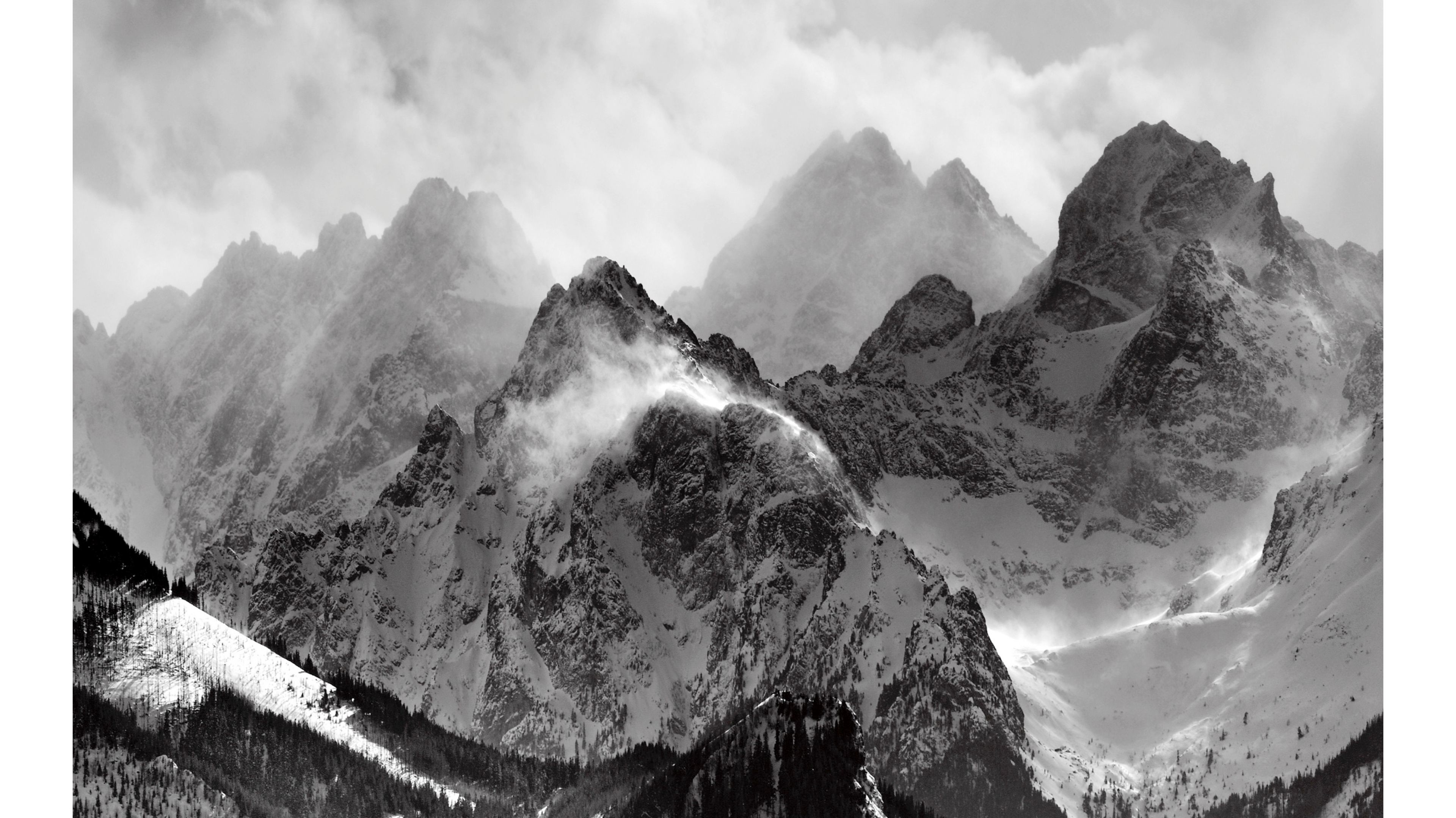 4K Black And White Wallpaper 48 Images 