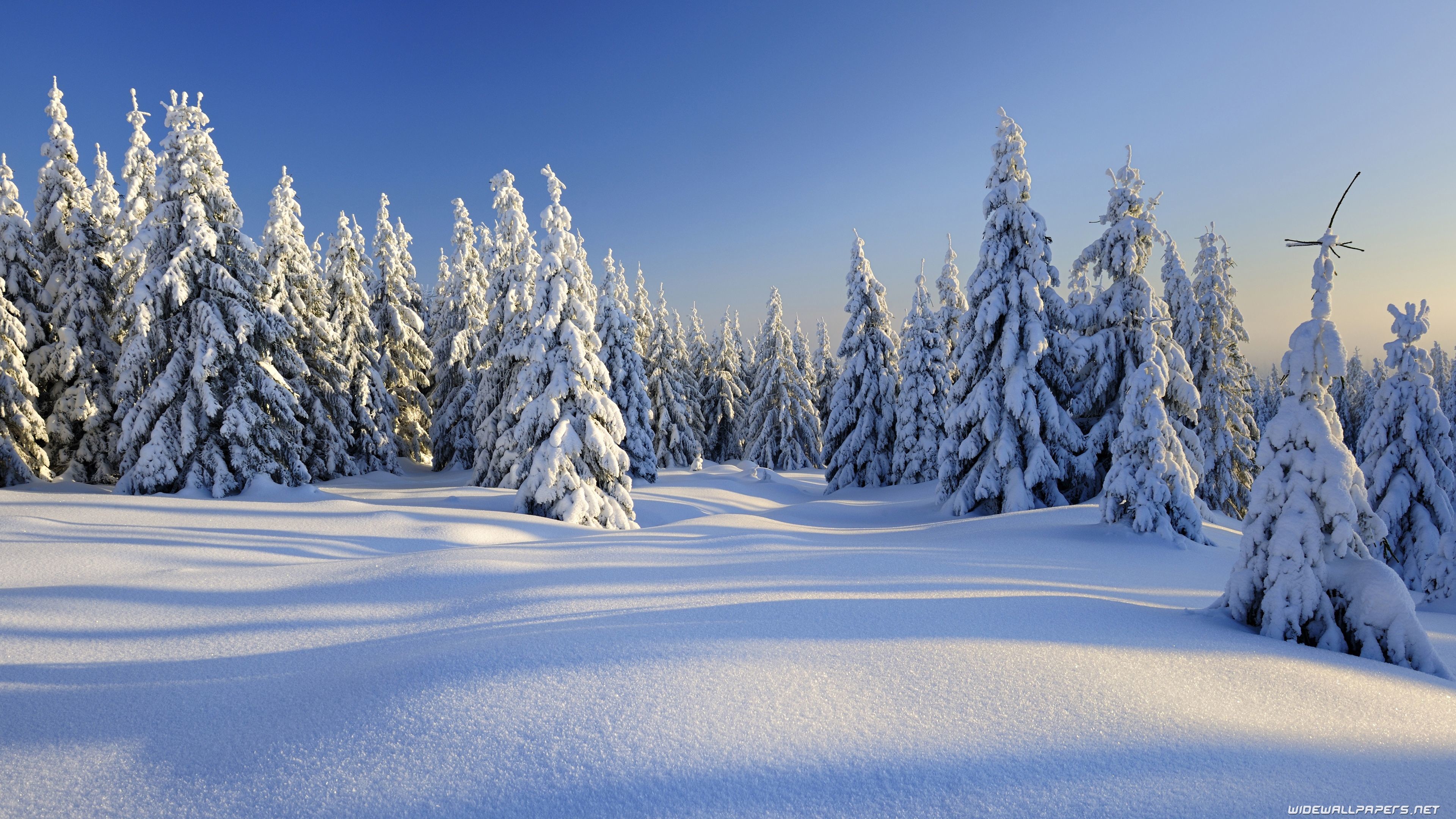 Winter Scenes Wallpaper Desktop (68+ images)