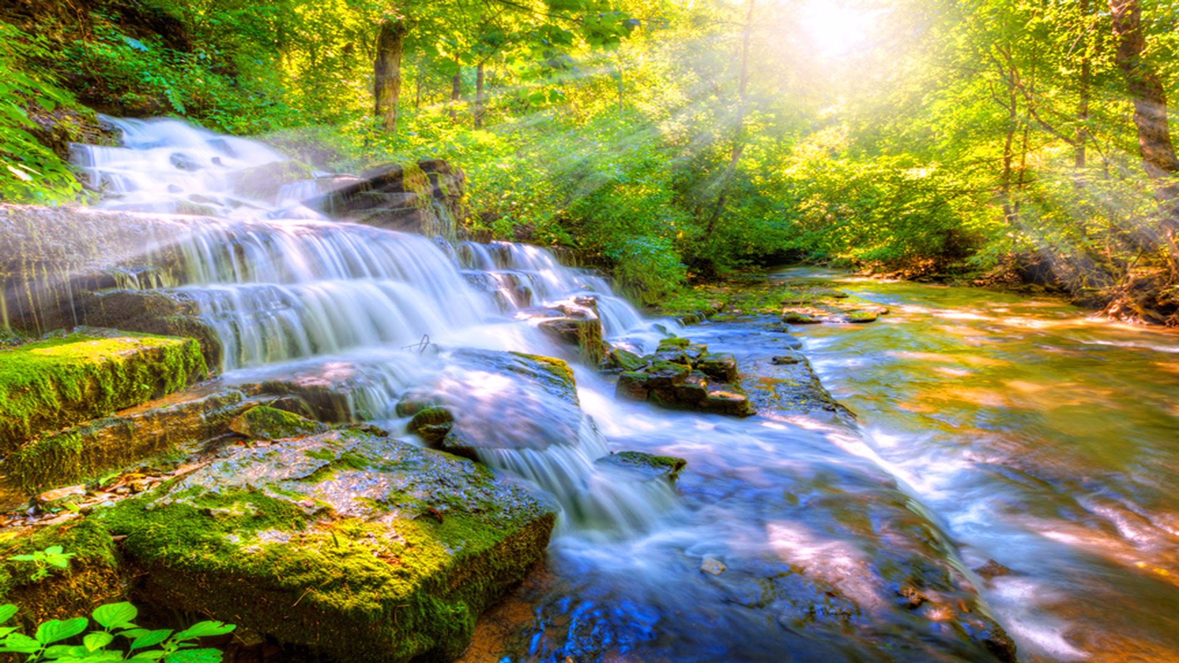 Nature Wallpaper Computer 67 Images 