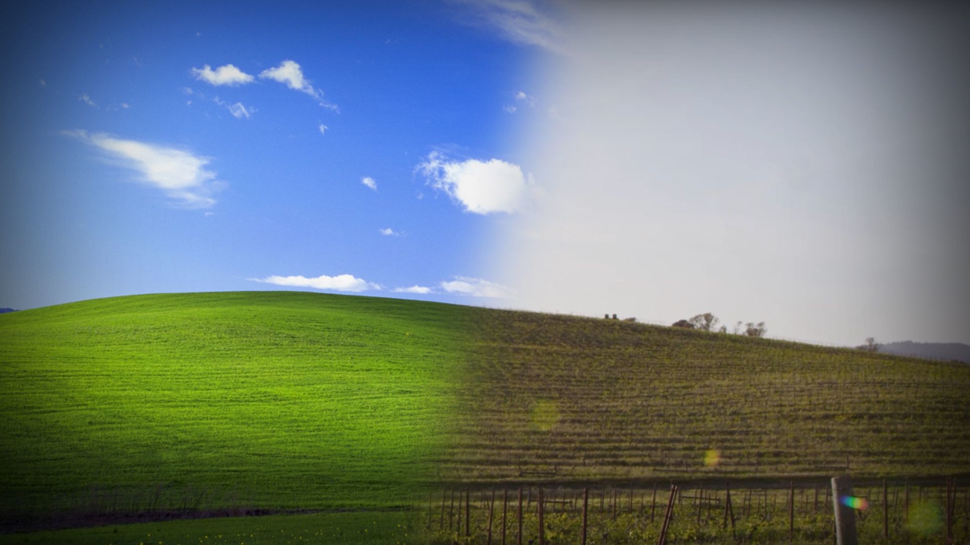 Windows Xp Wallpaper (55+ images)