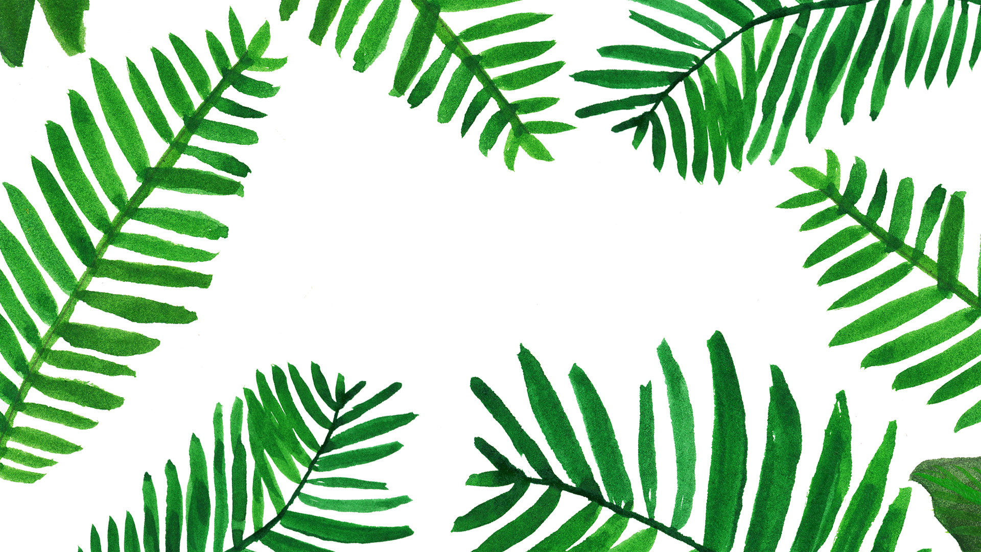 Tropical Palm Leaf Wallpaper (24+ images)