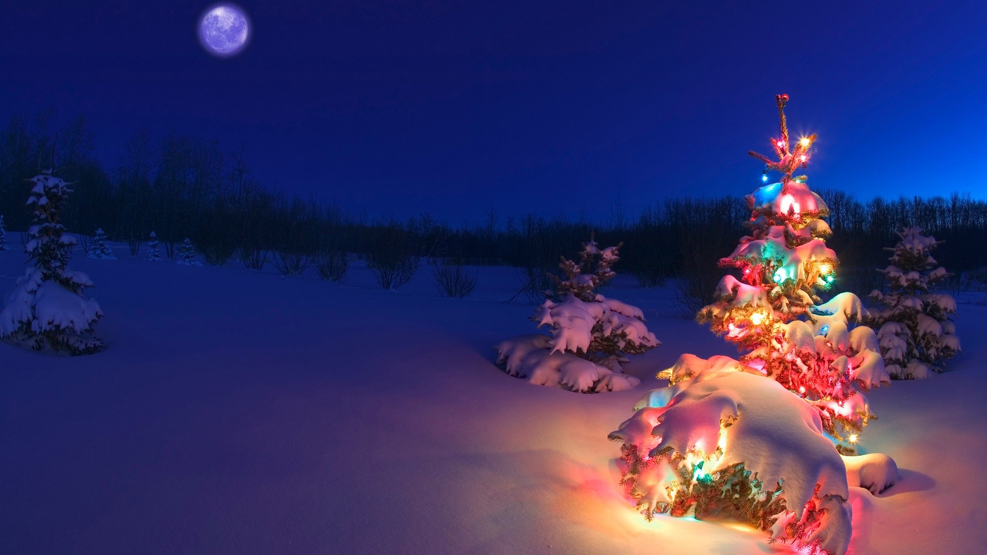 Christmas Wallpapers Backgrounds 62 Images