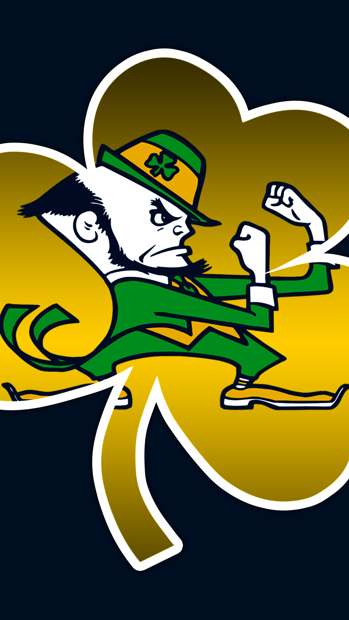 Notre Dame Football Background Wallpaper Football Picture Hd