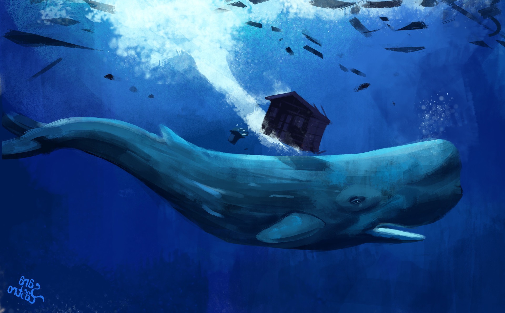 Whale Wallpapers for Desktop (57+ images)
