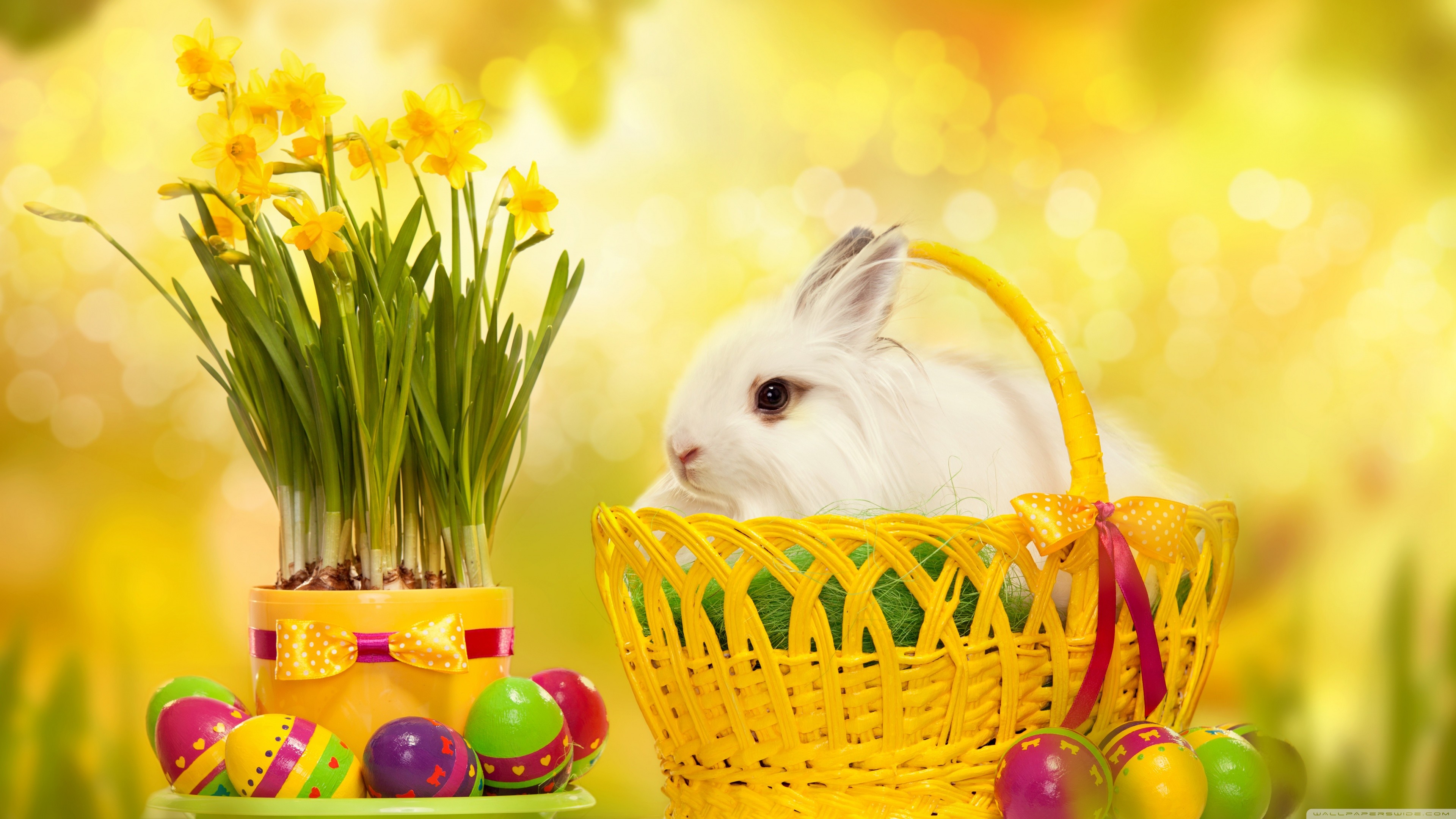 Cute Easter Bunny Wallpaper 58 images 