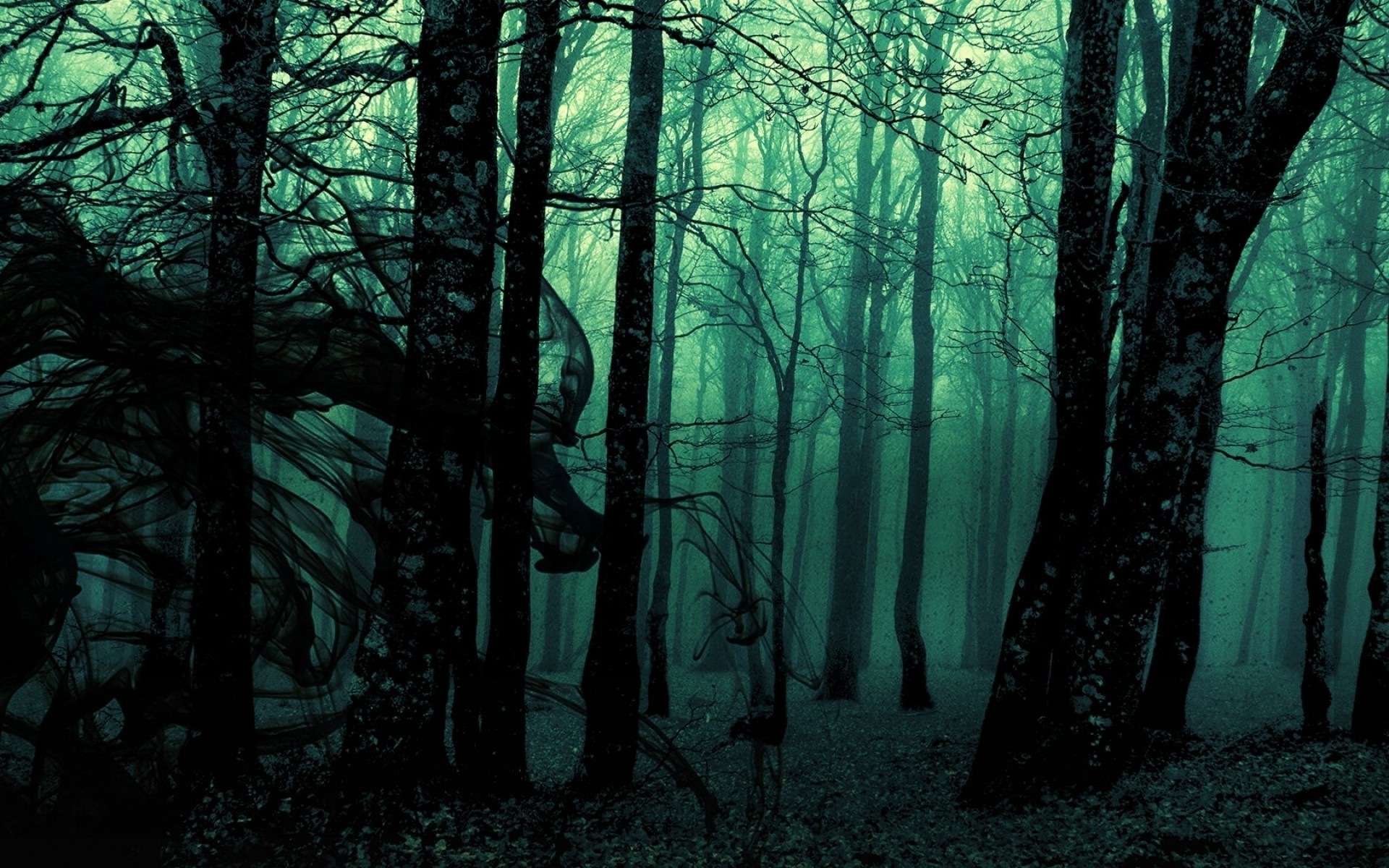 Dark Forest HD Wallpaper (61+ images)