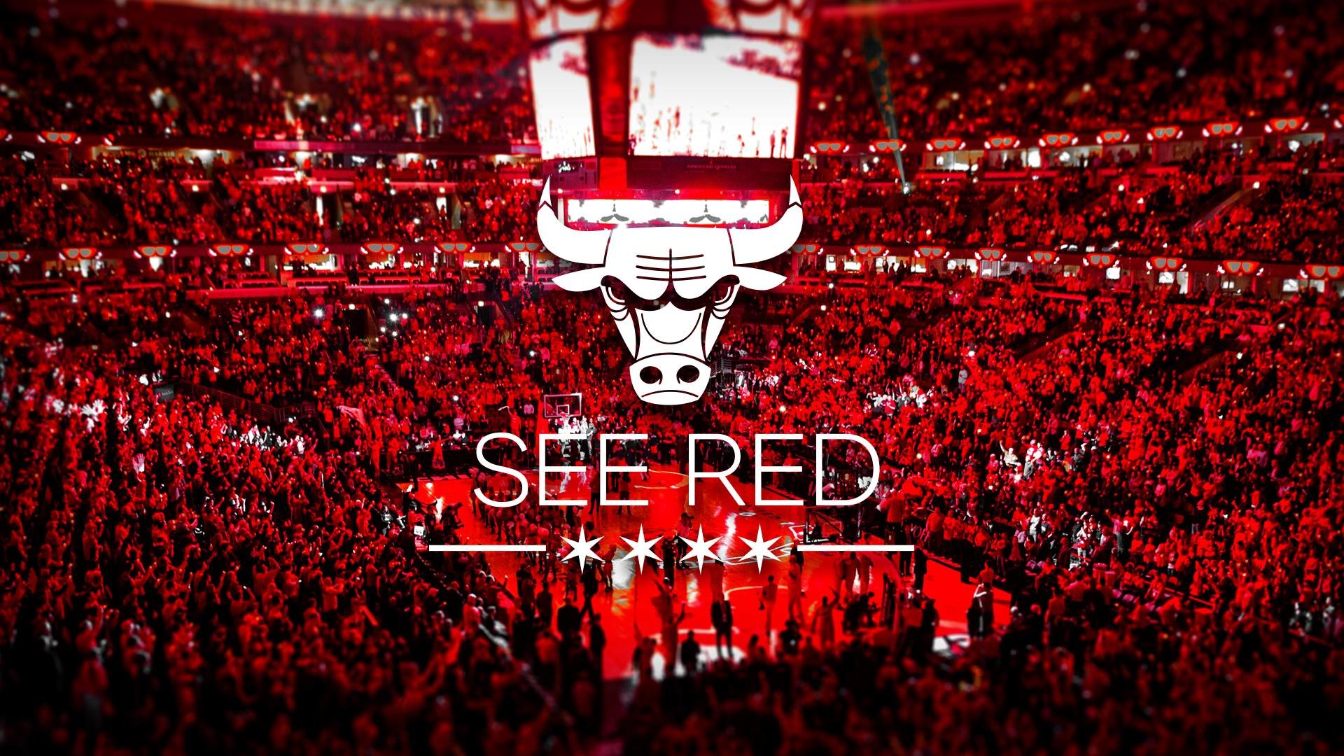Chicago Bulls Logo Wallpaper HD (72+ images)