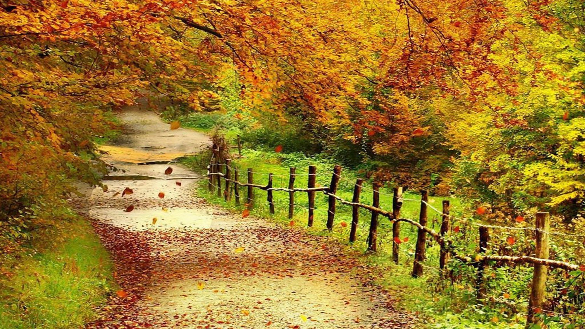 Autumn Scenery Wallpaper 57 Images 