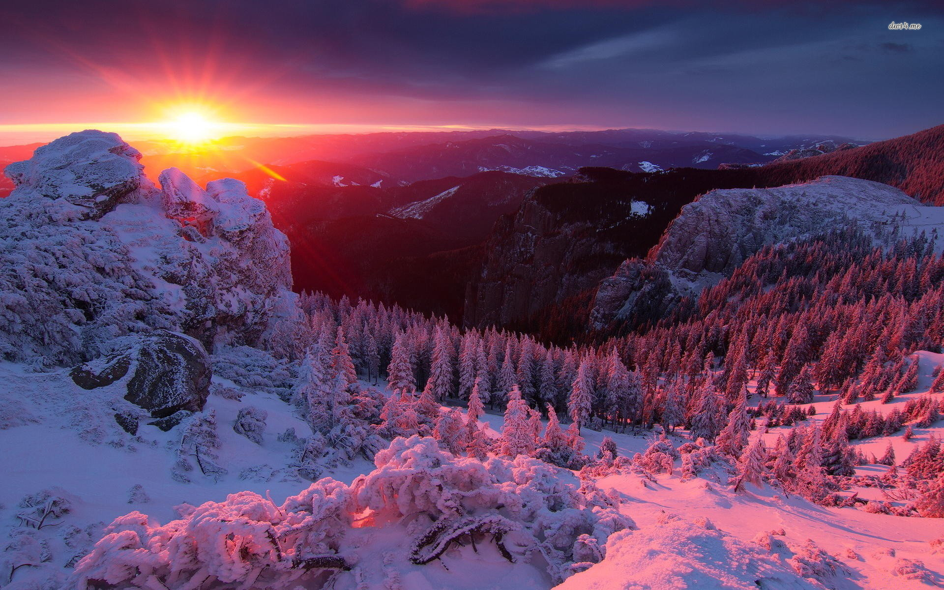 Winter Sunset Hd Wallpaper 50 Images