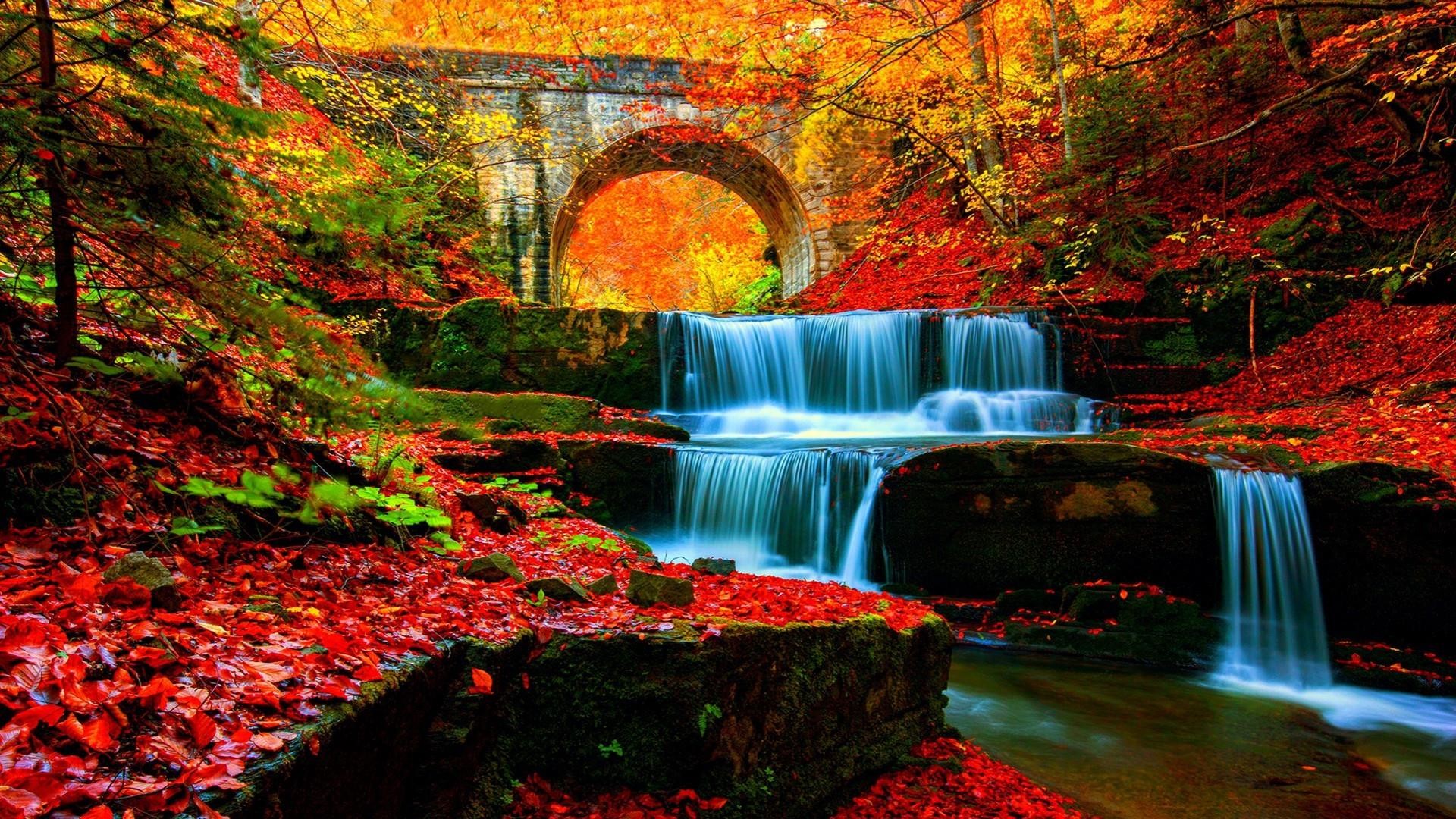 Autumn Waterfall Wallpaper (57+ images)