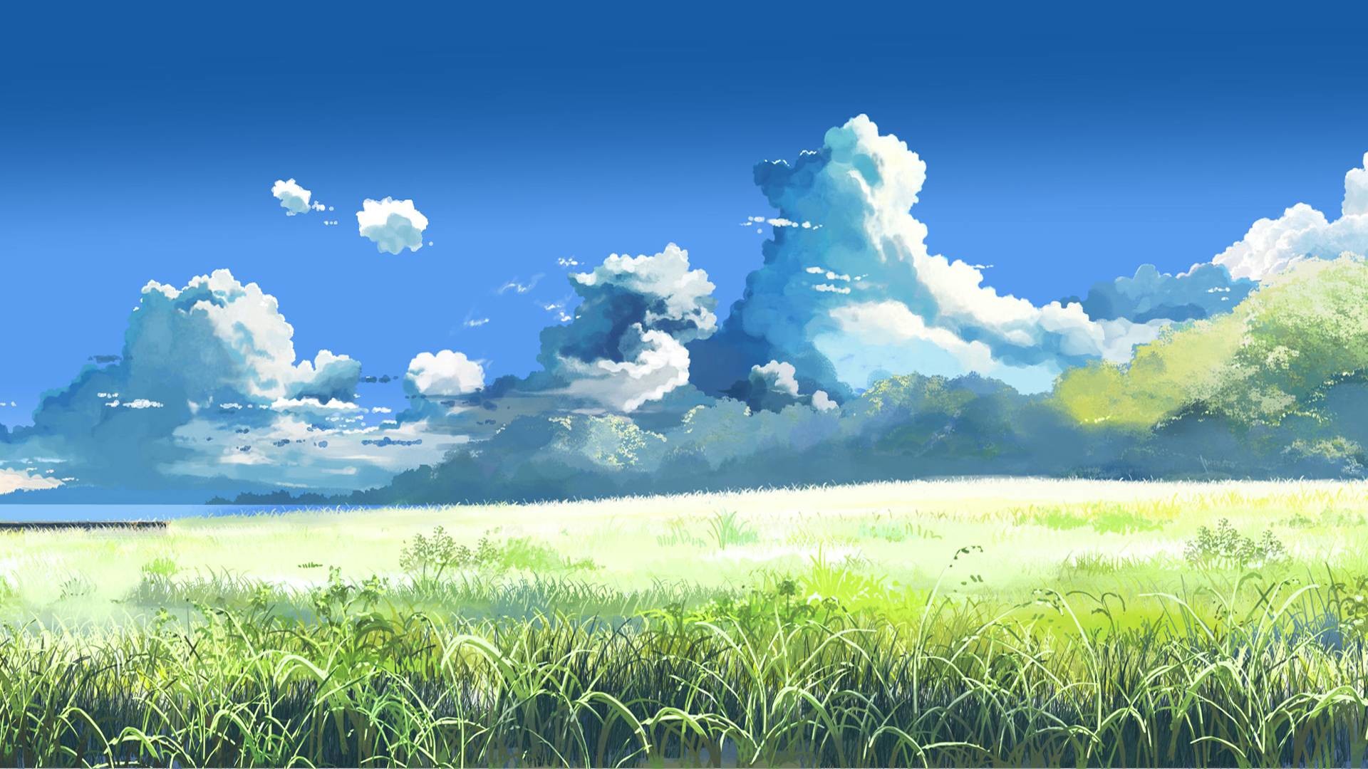 Miyazaki Wallpapers (69+ images)