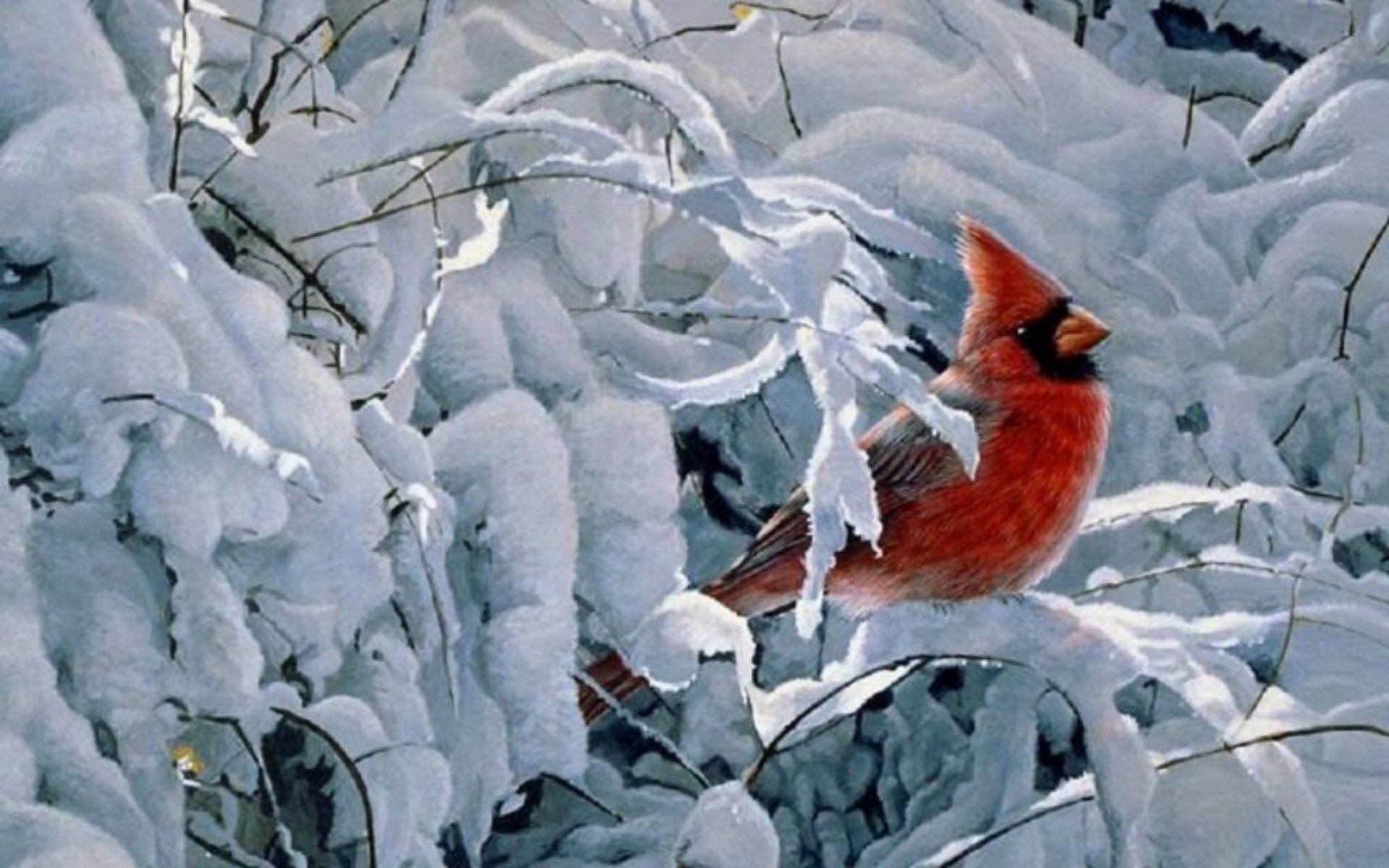 Cardinals in the Snow Wallpaper (58+ images)