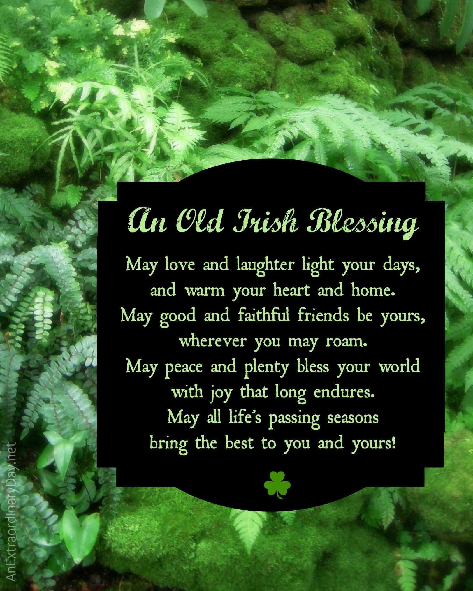 What Is The Traditional Irish Blessing