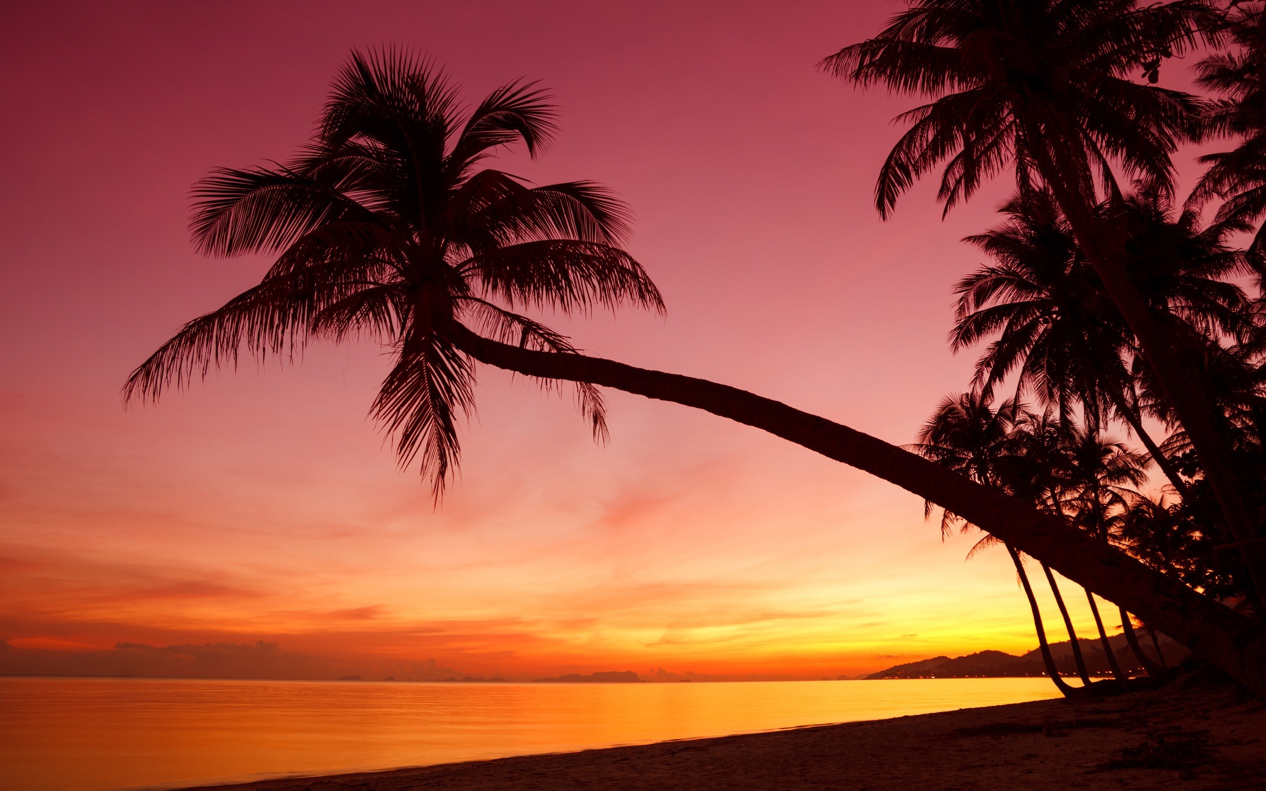 thumbnail image 2 of Wall26 Tropical Beach Sunset With Palm Trees – Wall Mural, 36x48 Inches, Original US Made 2 of 4
