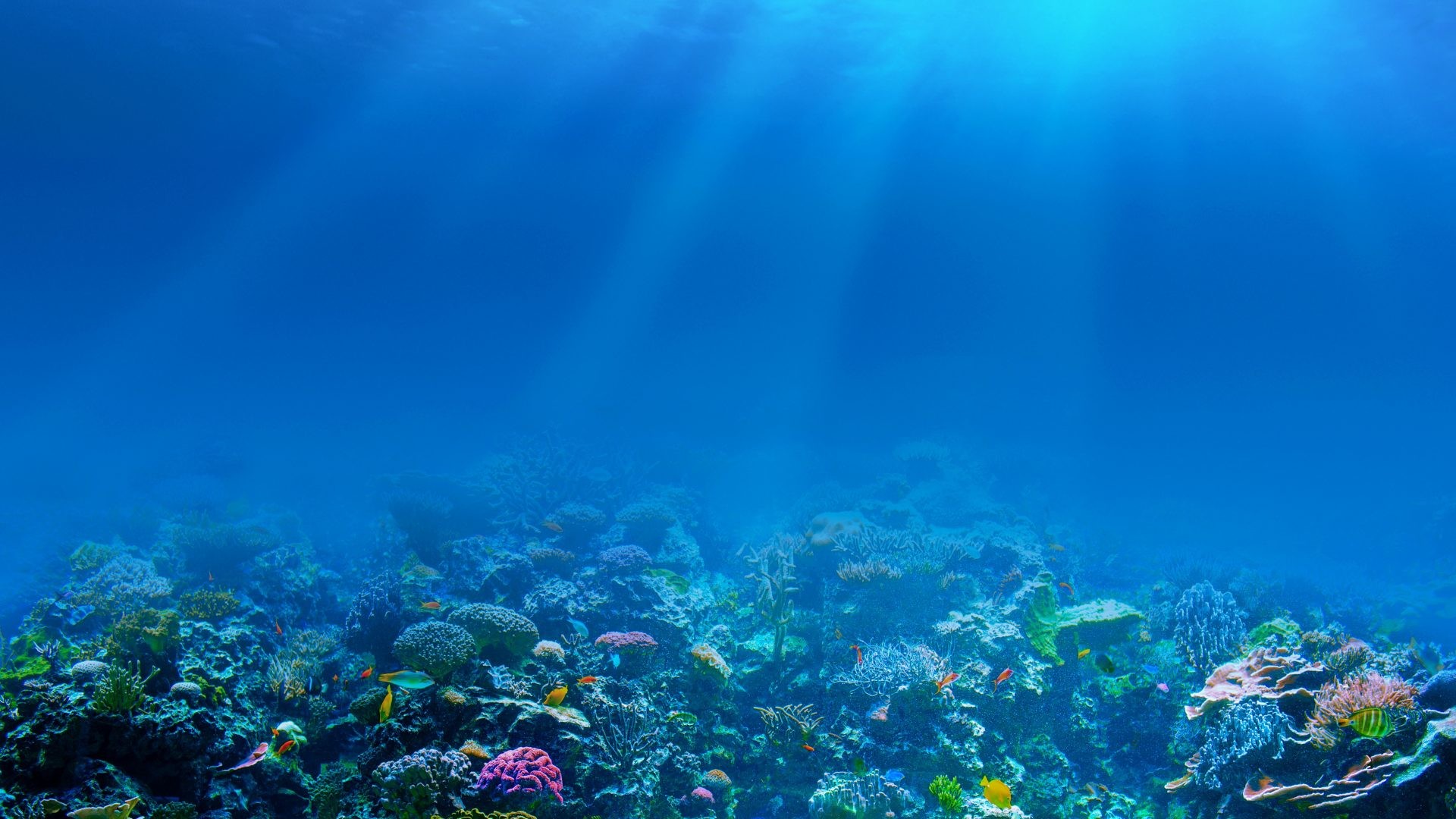 Underwater HD Wallpapers 1920x1080 (79+ images)