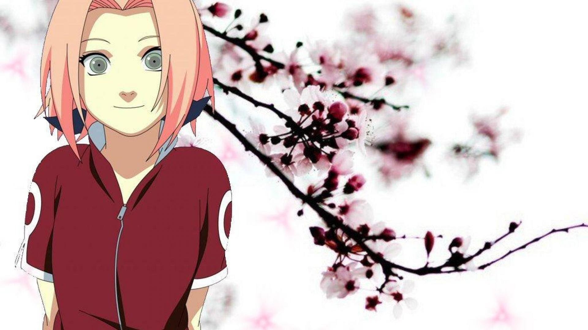 Sakura sakurada