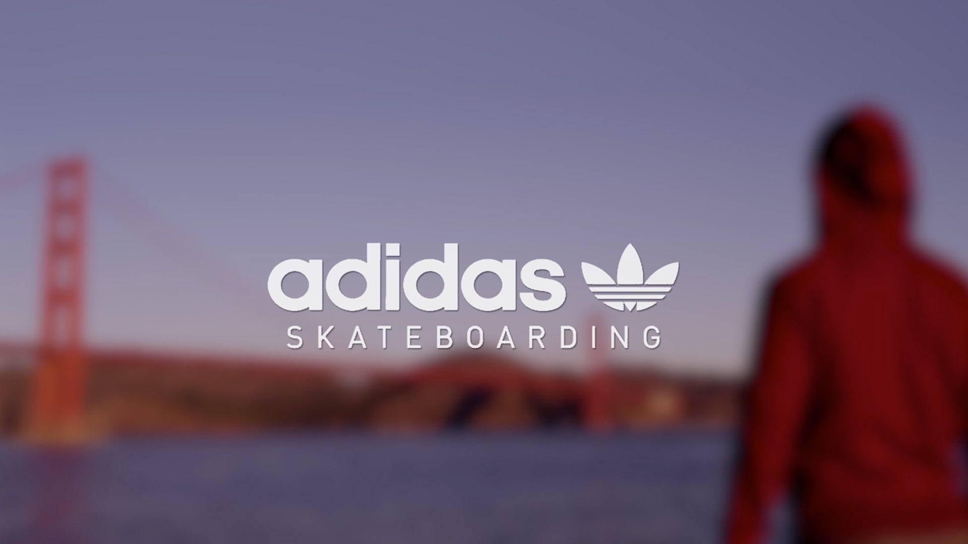 Adidas Skateboarding Logo