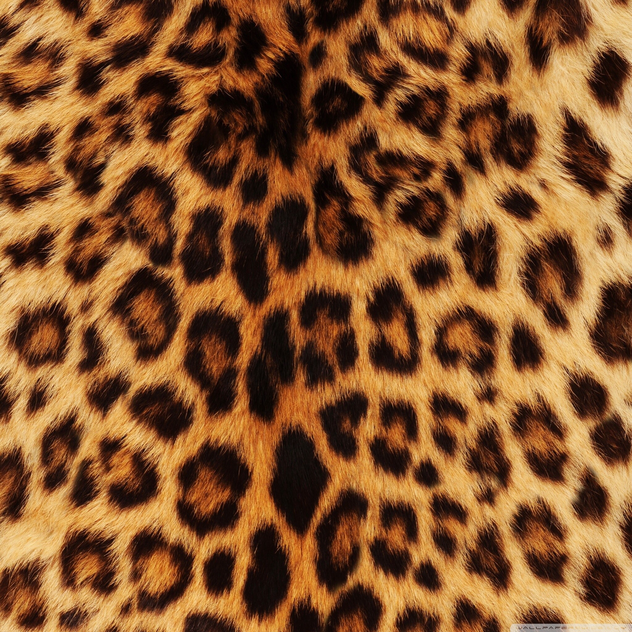 Платье Красный Леопард