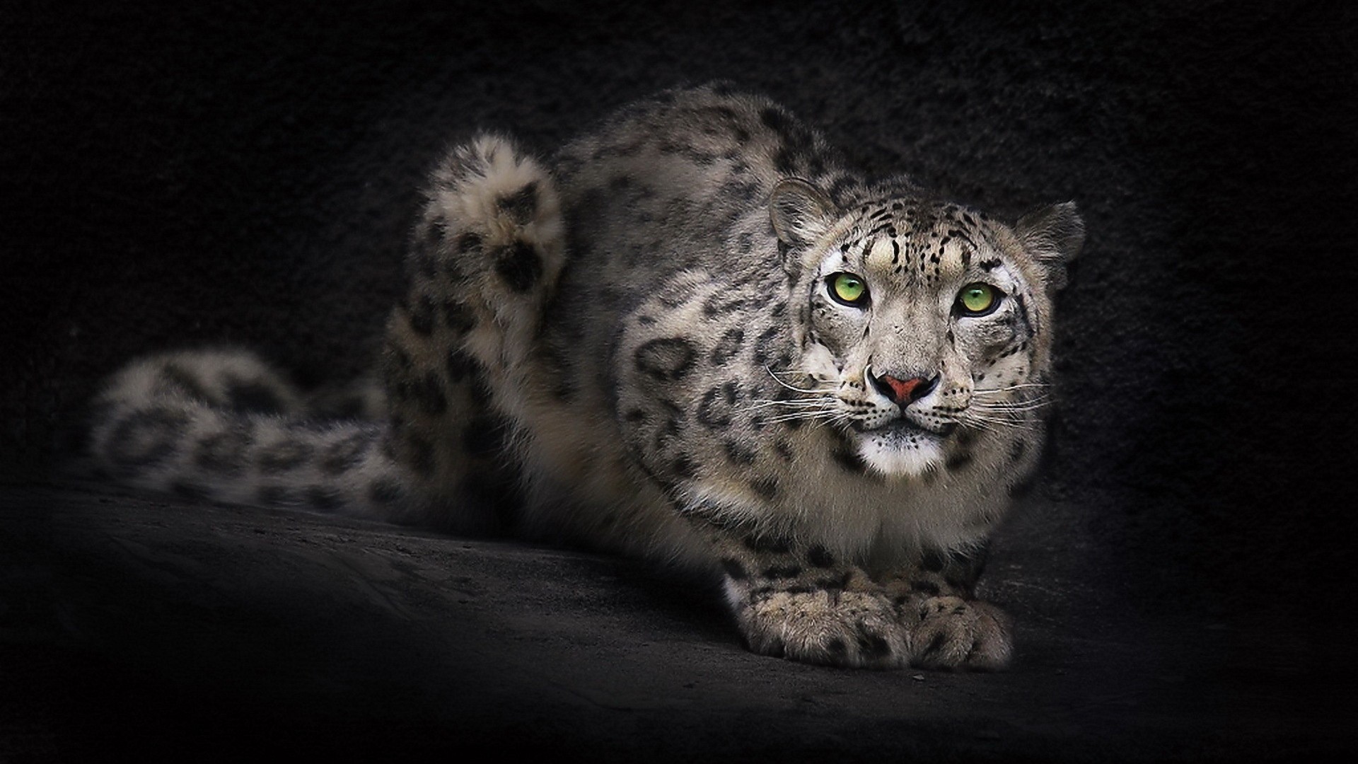 Free Download Of Mac Os X Snow Leopard