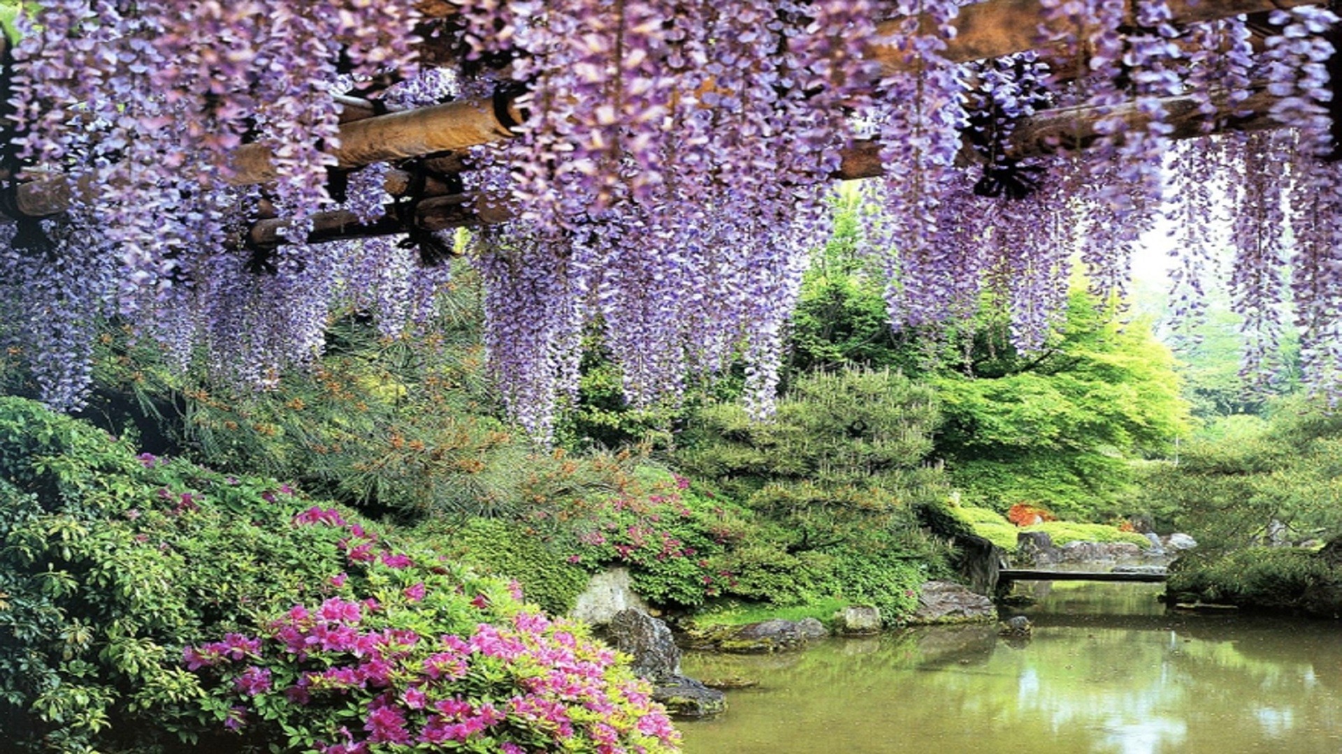 Japanese Garden HD Wallpaper (57+ images)