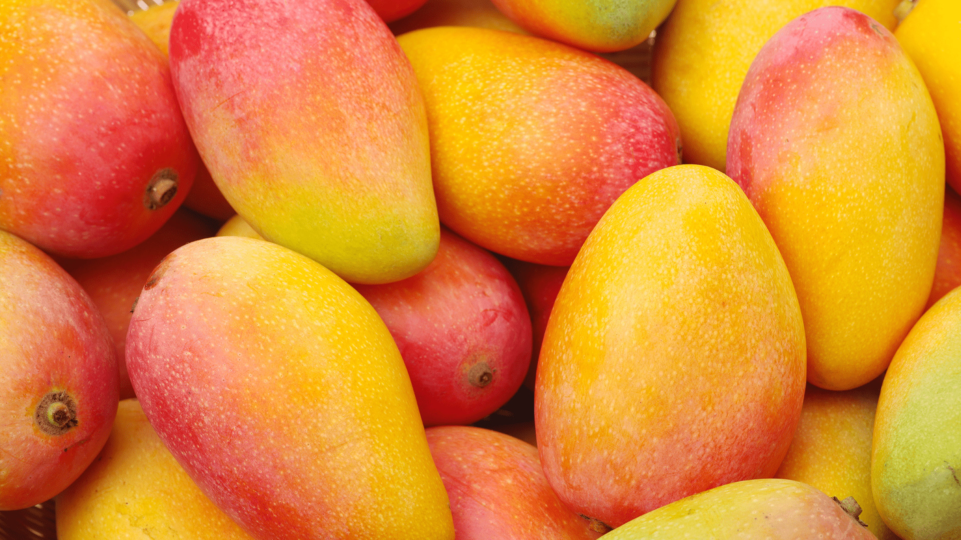 CRMla: Clip Art Images Of Mango