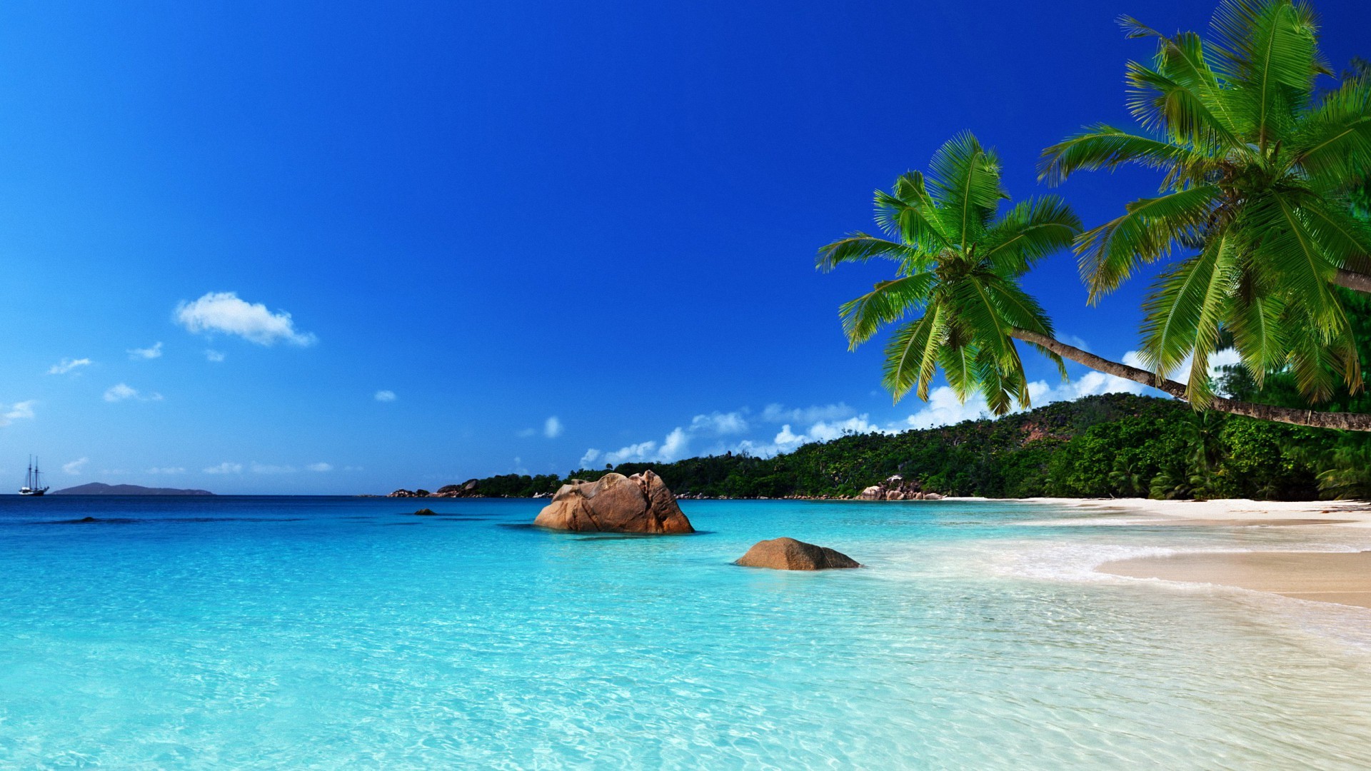 Summer Beach Backgrounds (58+ images)
