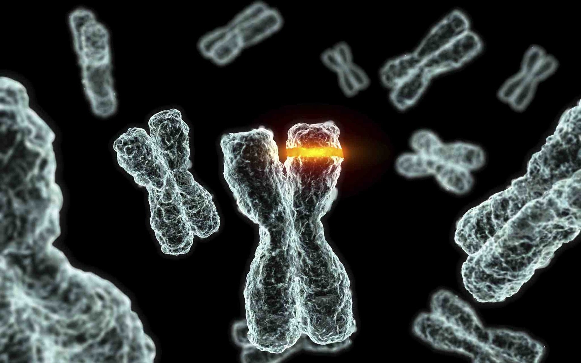 1920x1200 Chromosome Dna Pattern Genetic 3d Psychedelic Wallpaper At 3d Wallpapers