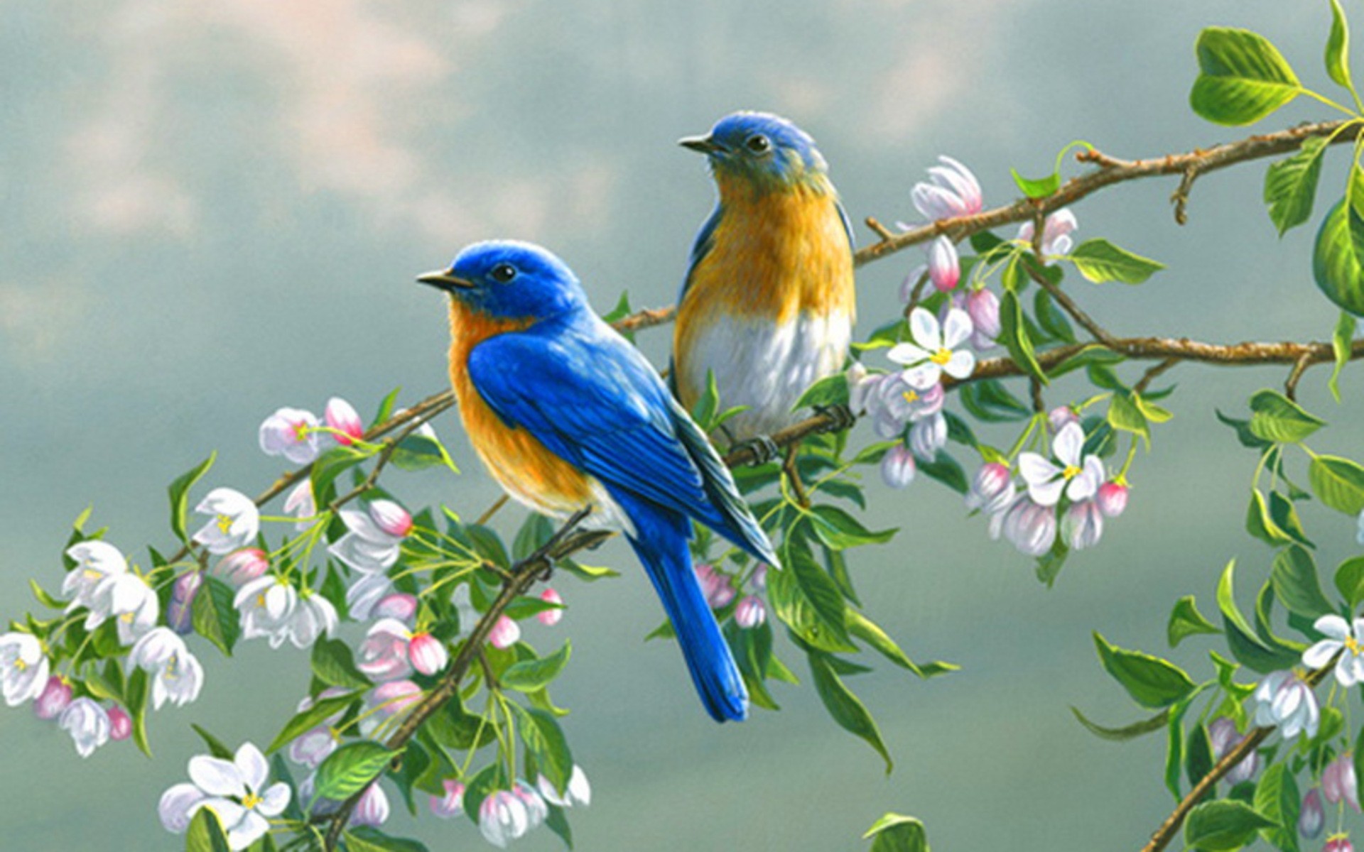 Wallpaper Birds And Flowers 61 Images 