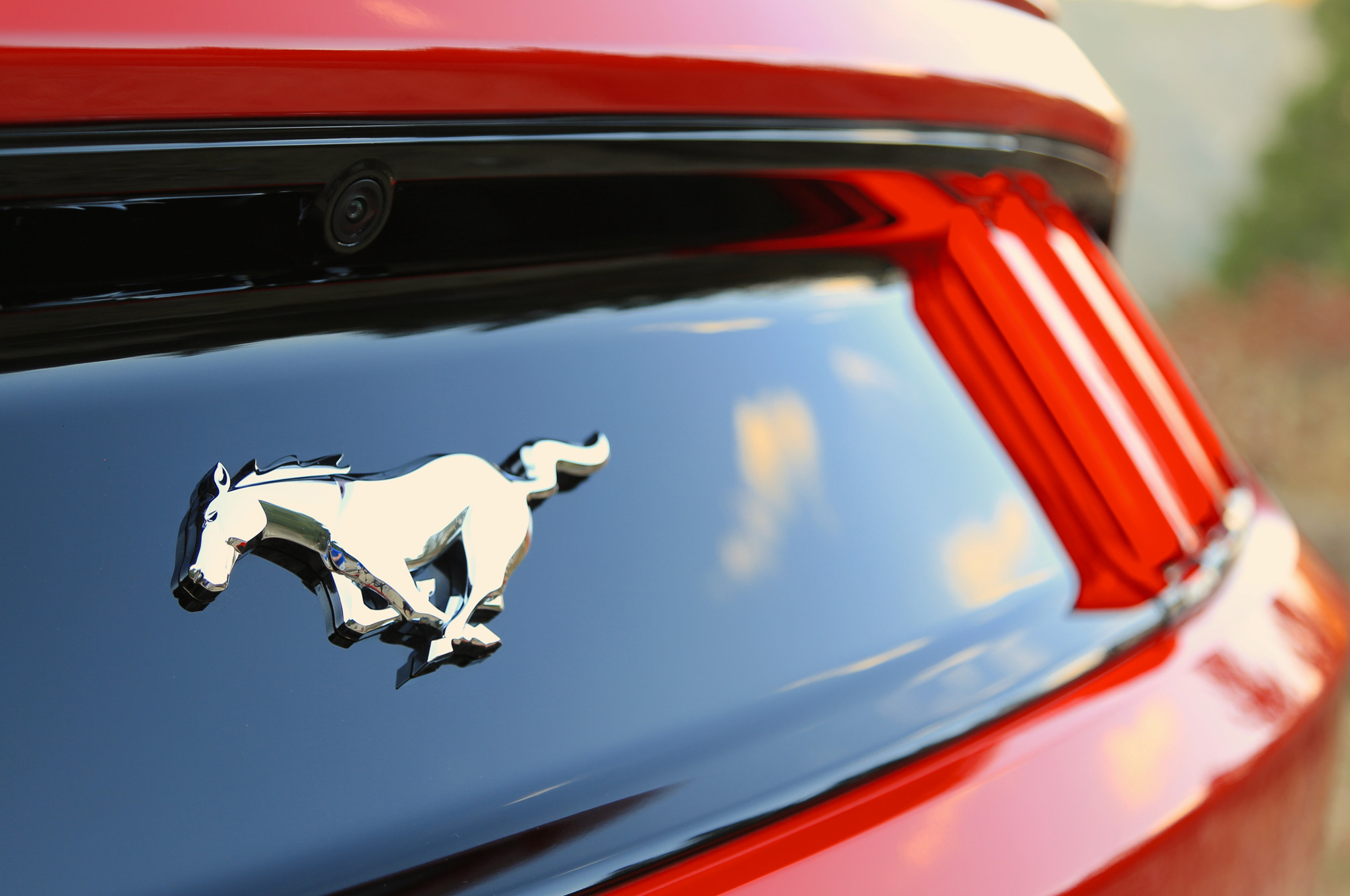 Mustang Logo Wallpaper (63+ images)