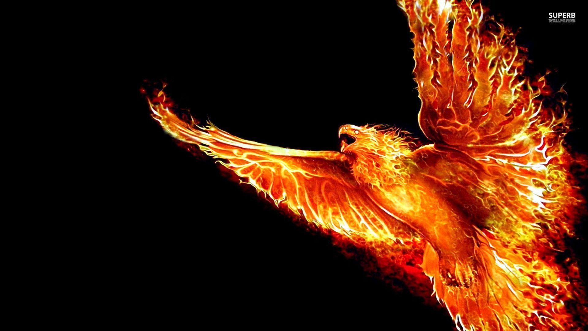 Phoenix Wallpaper HD (80+ images)