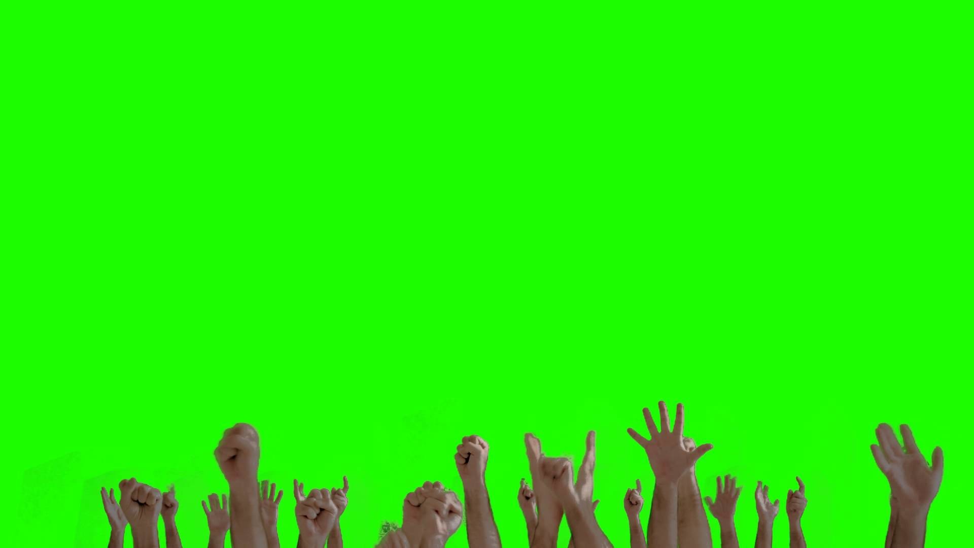 Ultimate How To Get A Green Screen Background for Gamers