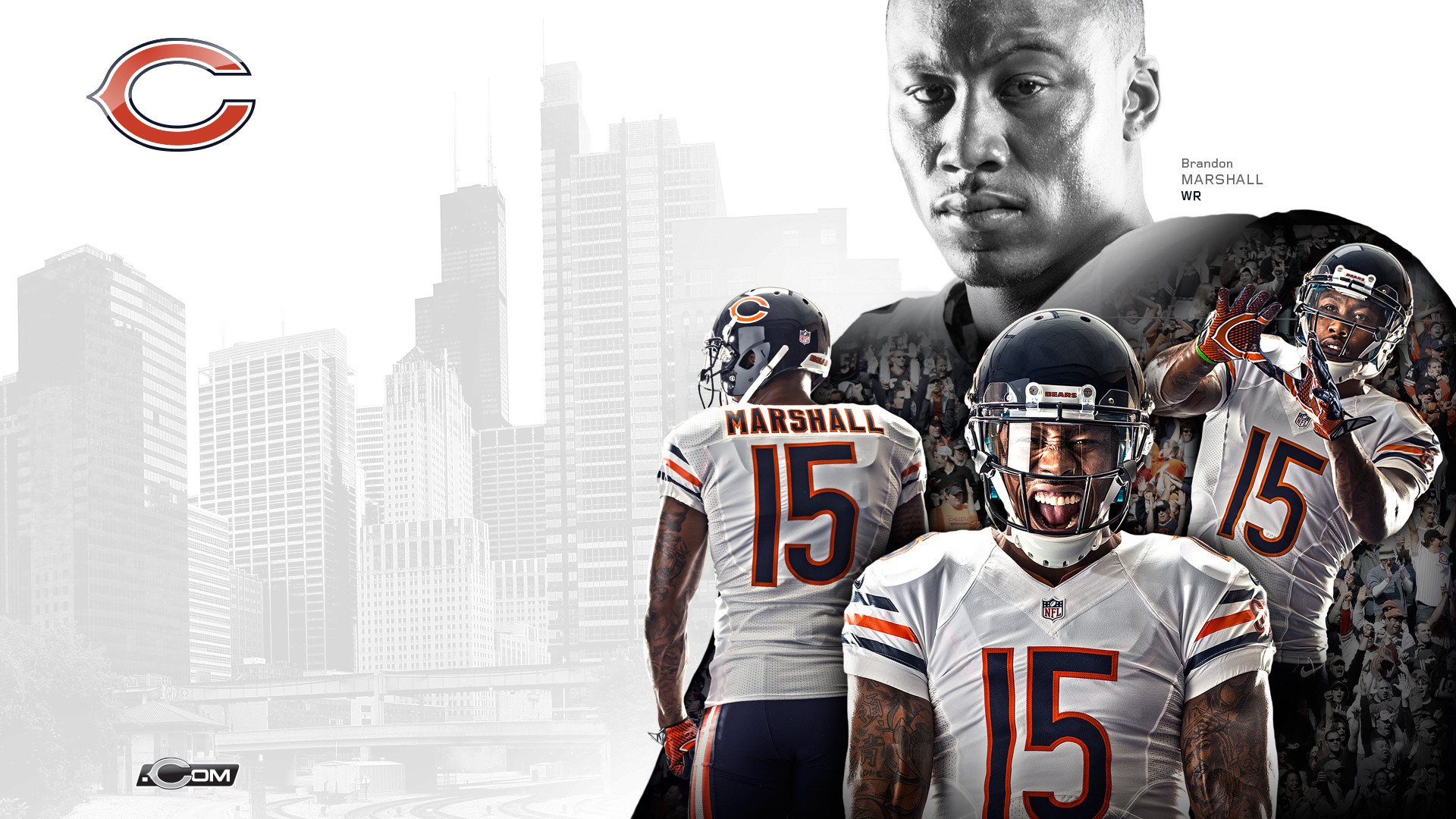 Chicago Bears Wallpaper 2018 (60+ images)