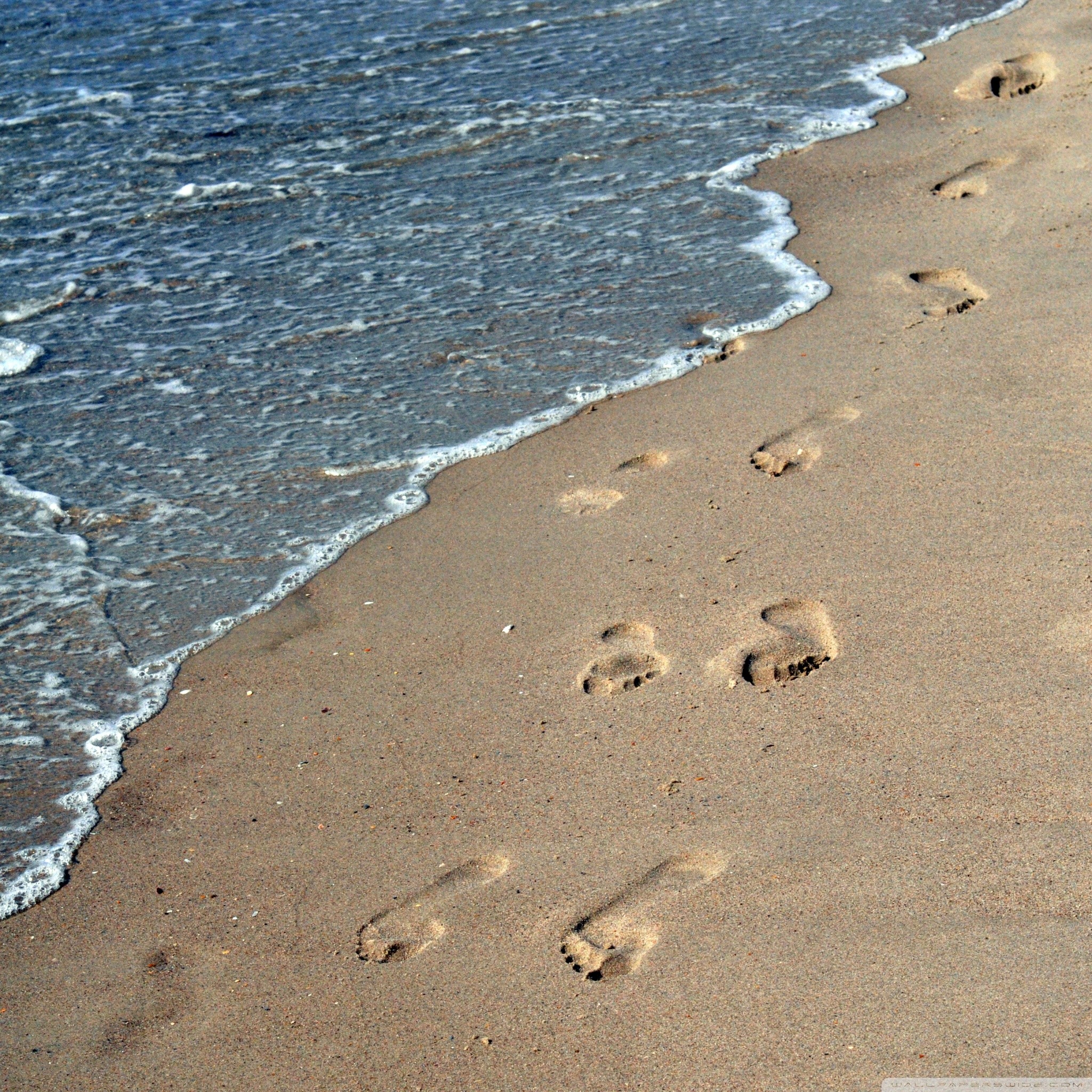 List 98+ Images wallpaper footprints in the sand Updated