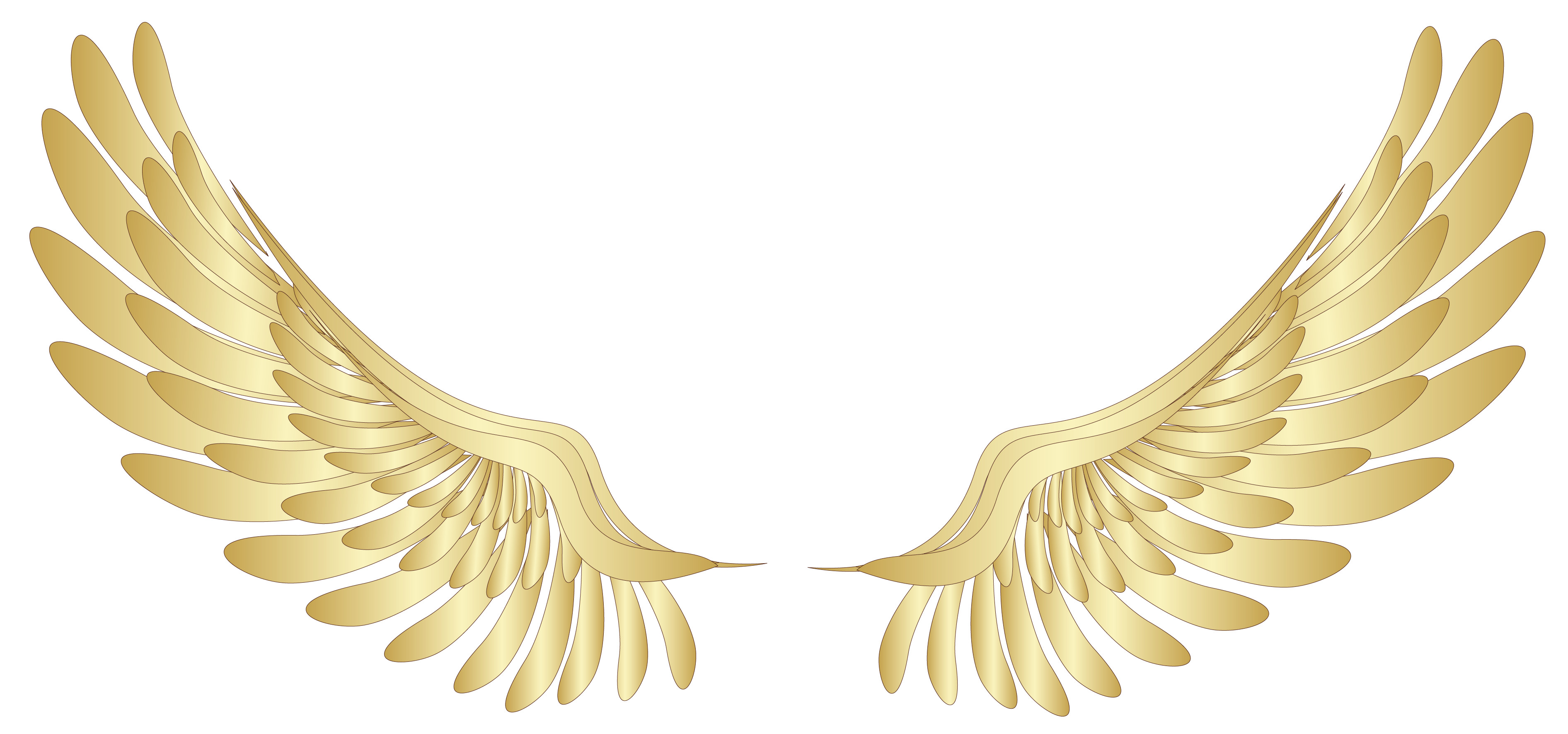 Angel Wings Background (49+ images)