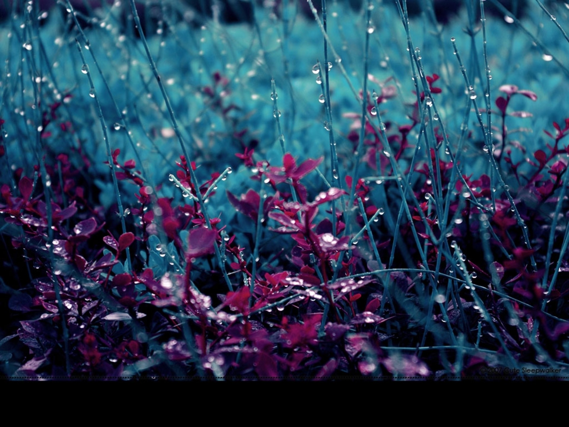 Spring Rain Wallpaper for Desktop (69+ images)