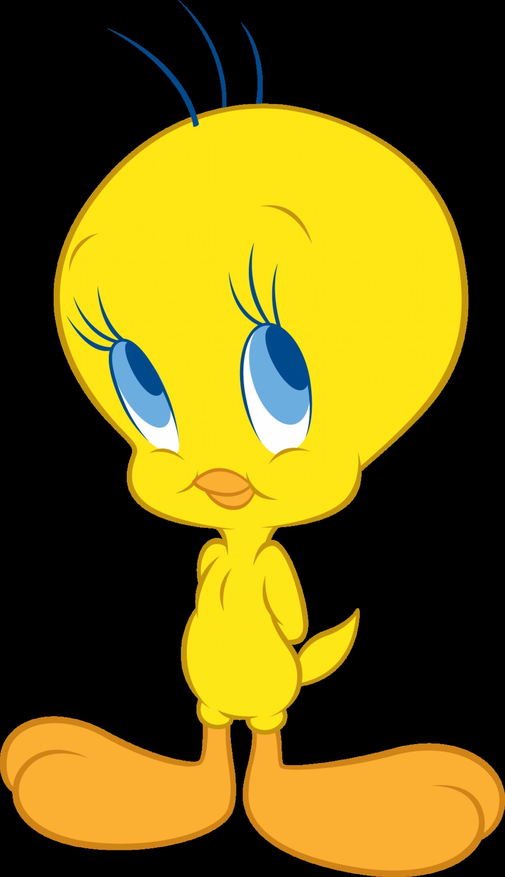 Wallpapers of Tweety (65+ images)