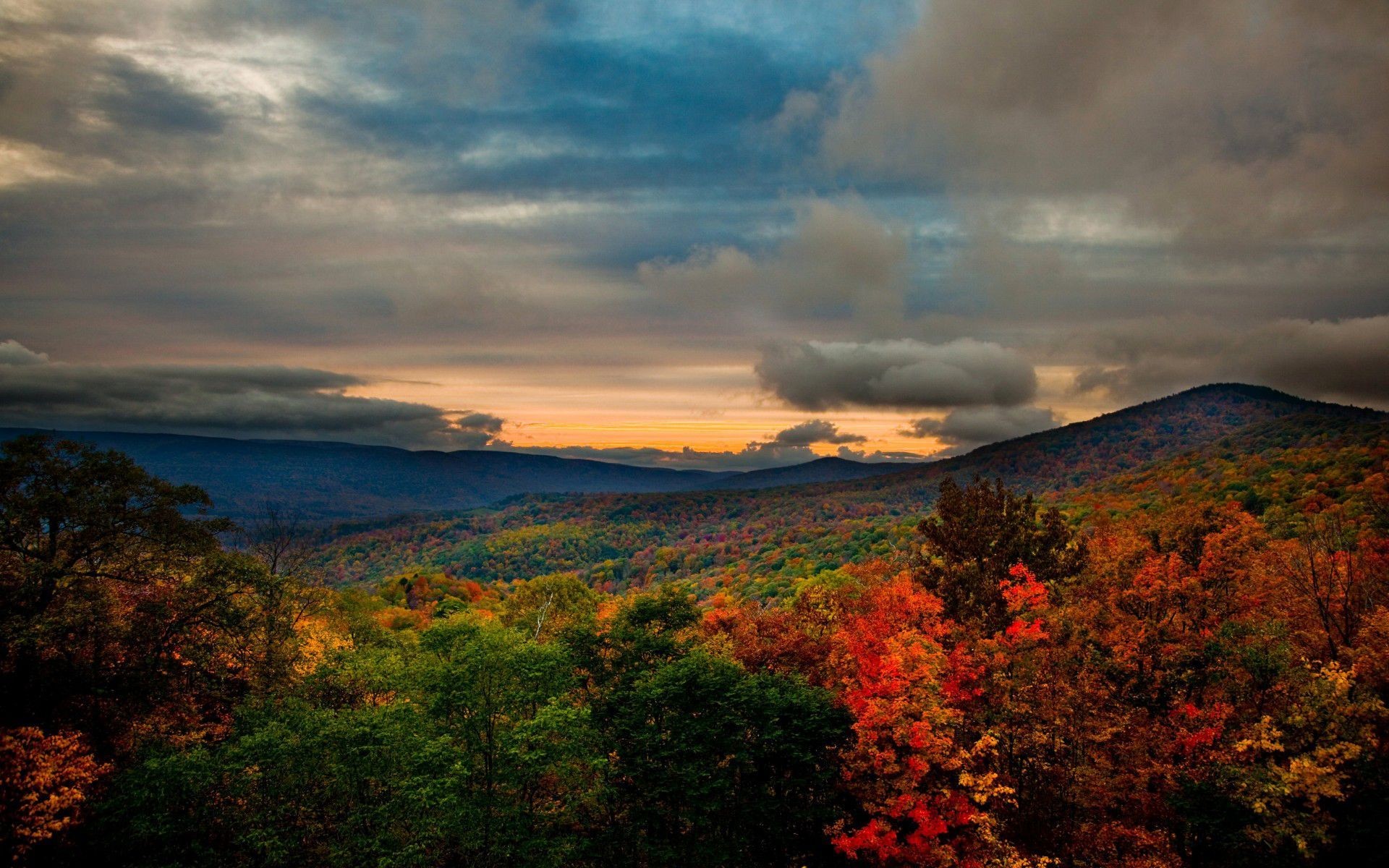 The Most Scenic Road Trips in Virginia