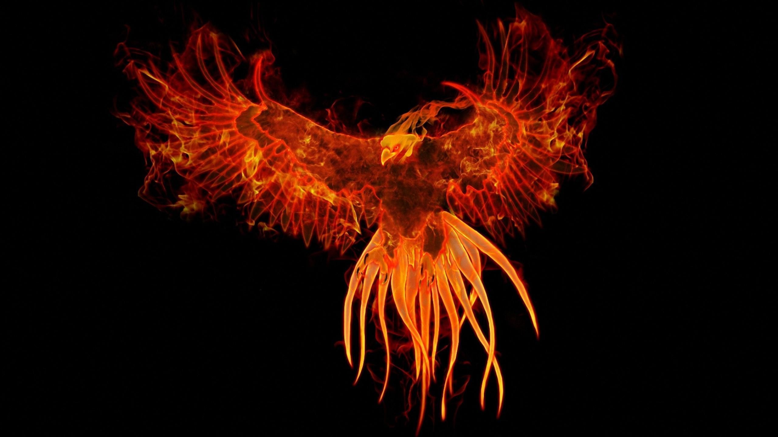 Phoenix Bird HD Wallpaper (75+ images)